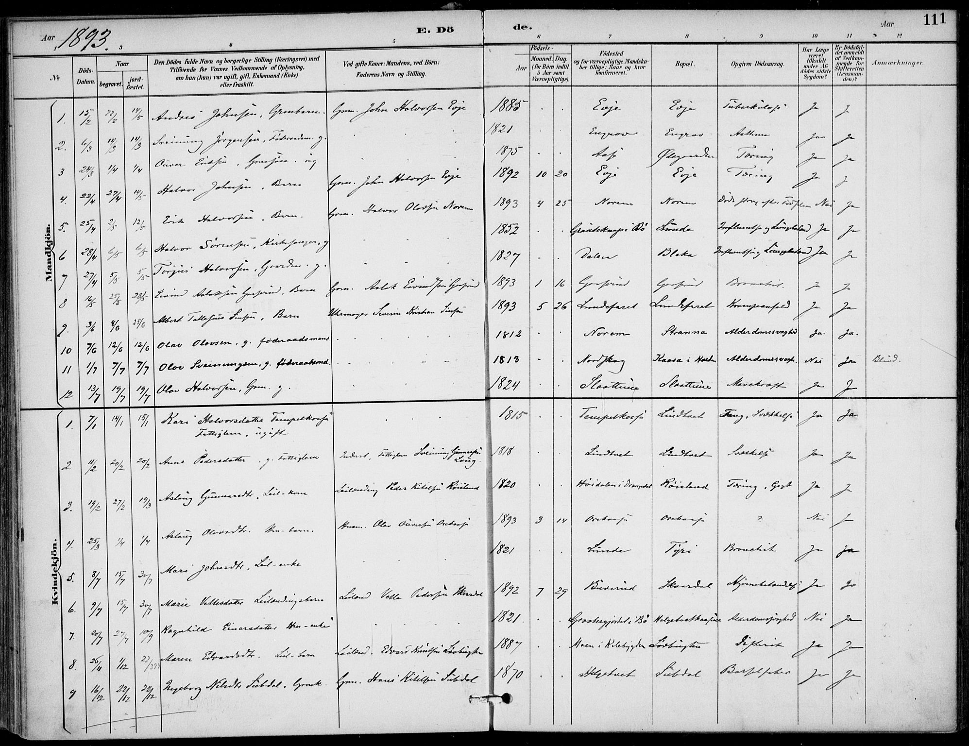 Lunde kirkebøker, SAKO/A-282/F/Fa/L0003: Parish register (official) no. I 3, 1893-1902, p. 111