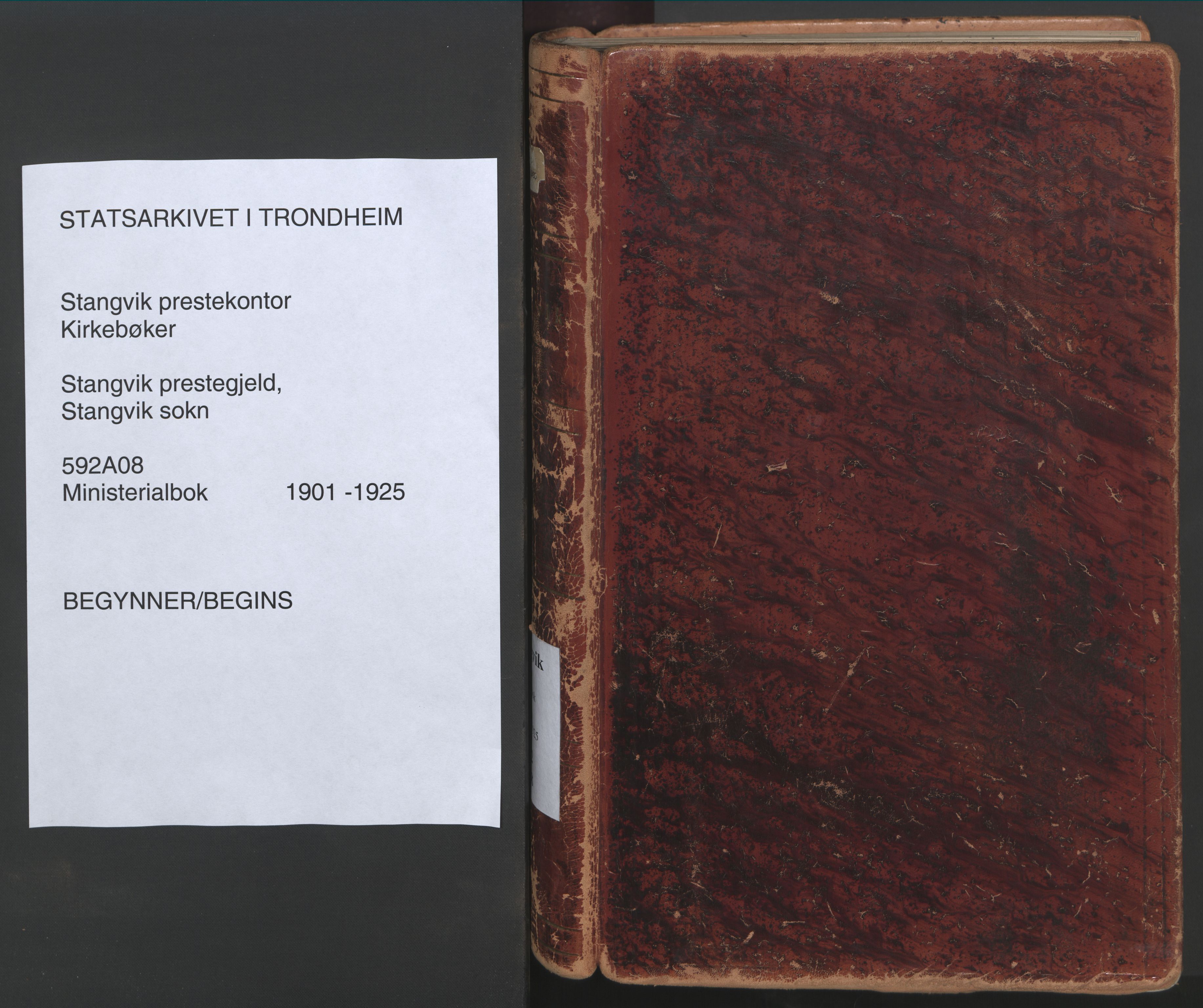 Ministerialprotokoller, klokkerbøker og fødselsregistre - Møre og Romsdal, AV/SAT-A-1454/592/L1030: Parish register (official) no. 592A08, 1901-1925