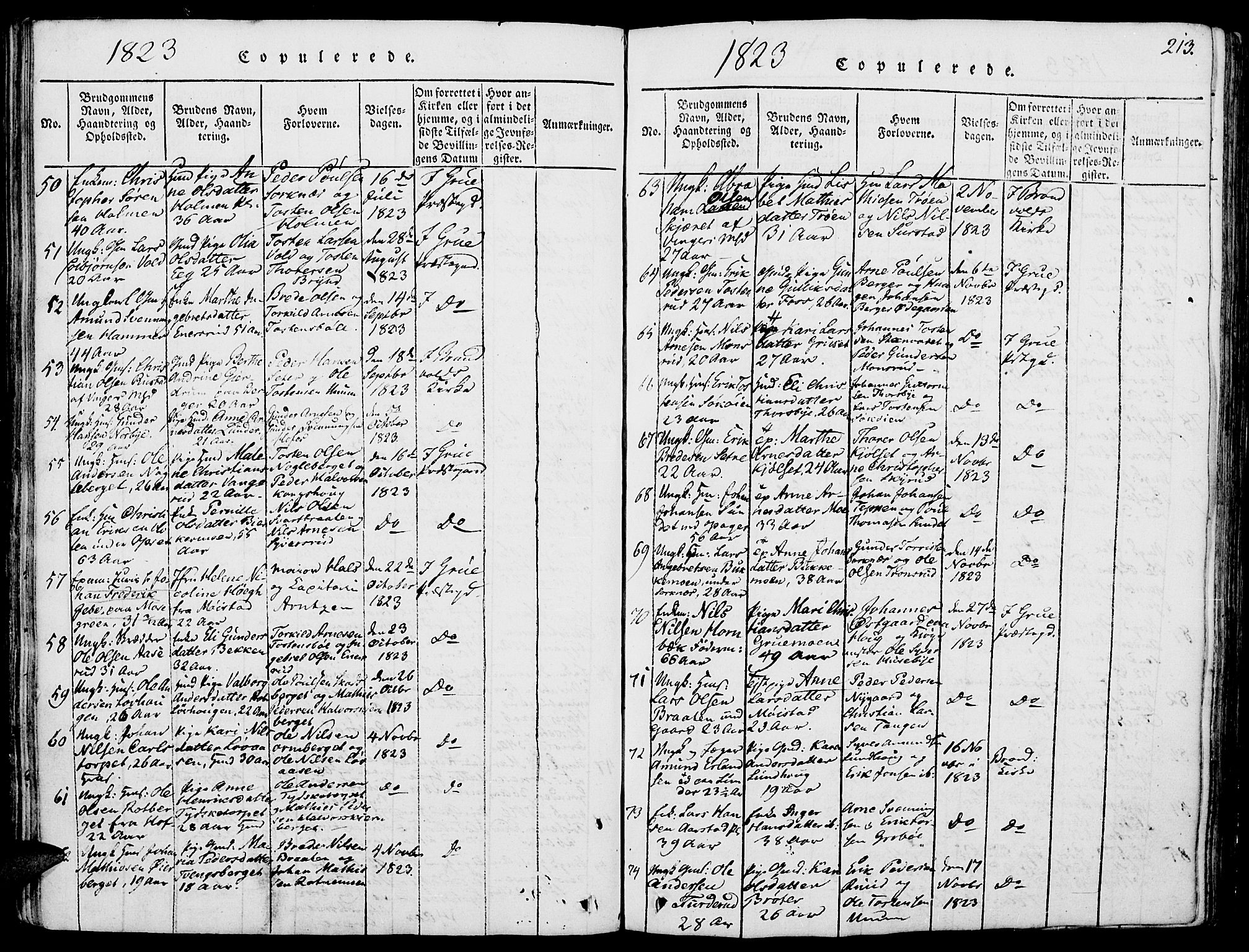 Grue prestekontor, AV/SAH-PREST-036/H/Ha/Haa/L0006: Parish register (official) no. 6, 1814-1830, p. 213