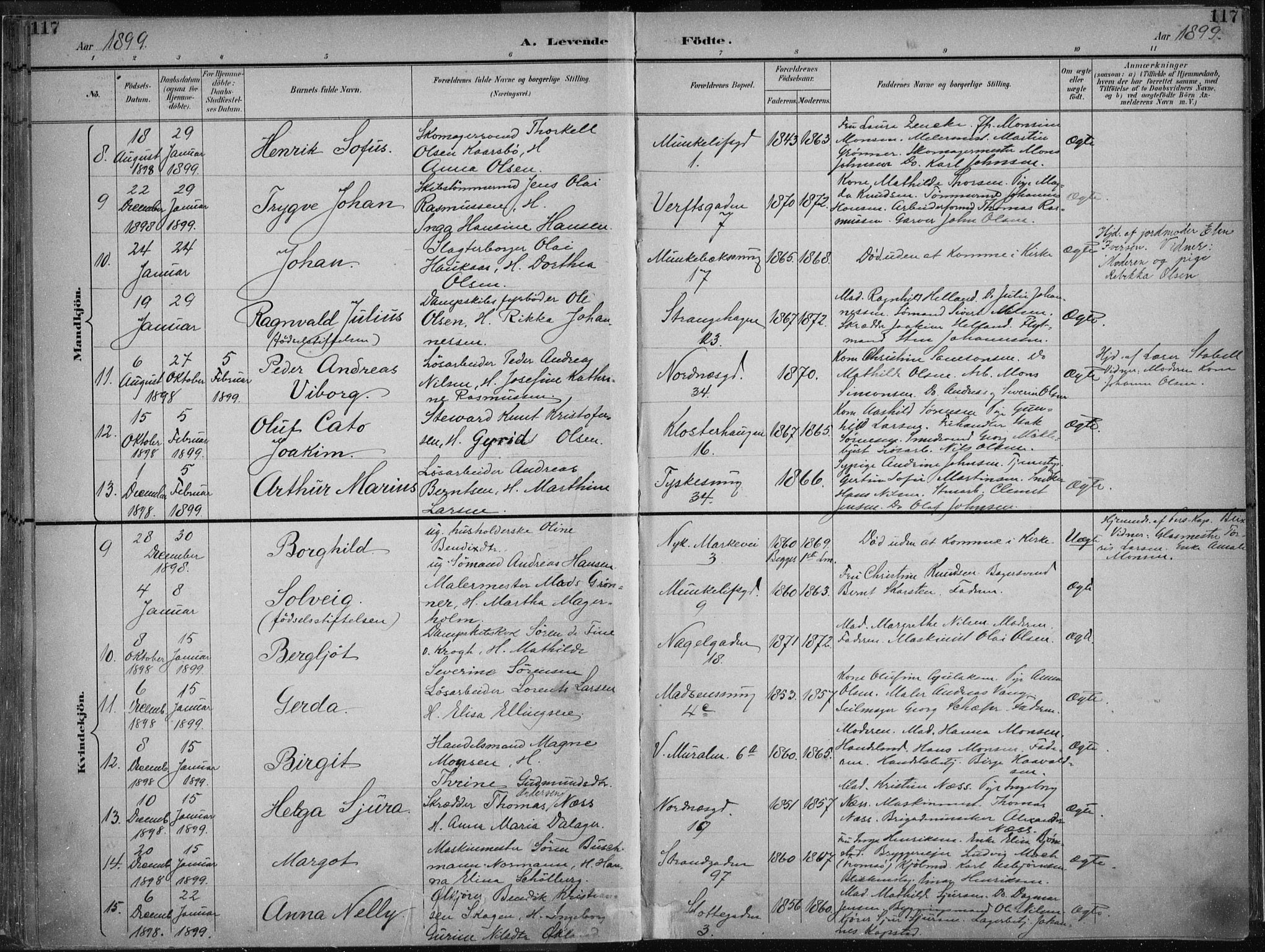 Nykirken Sokneprestembete, AV/SAB-A-77101/H/Haa/L0018: Parish register (official) no. B 6, 1895-1903, p. 117