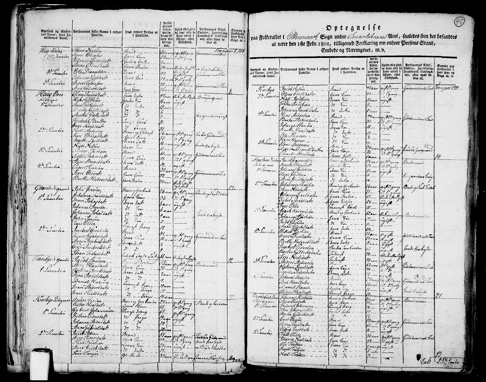 RA, 1801 census for 0118P Aremark, 1801, p. 44b-45a