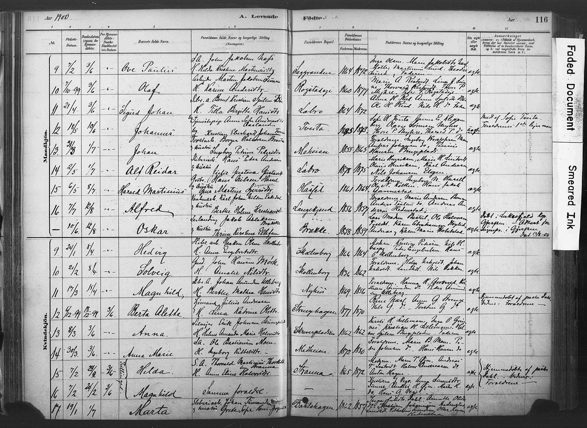 Sandsvær kirkebøker, SAKO/A-244/F/Fd/L0001: Parish register (official) no. IV 1, 1878-1906, p. 116