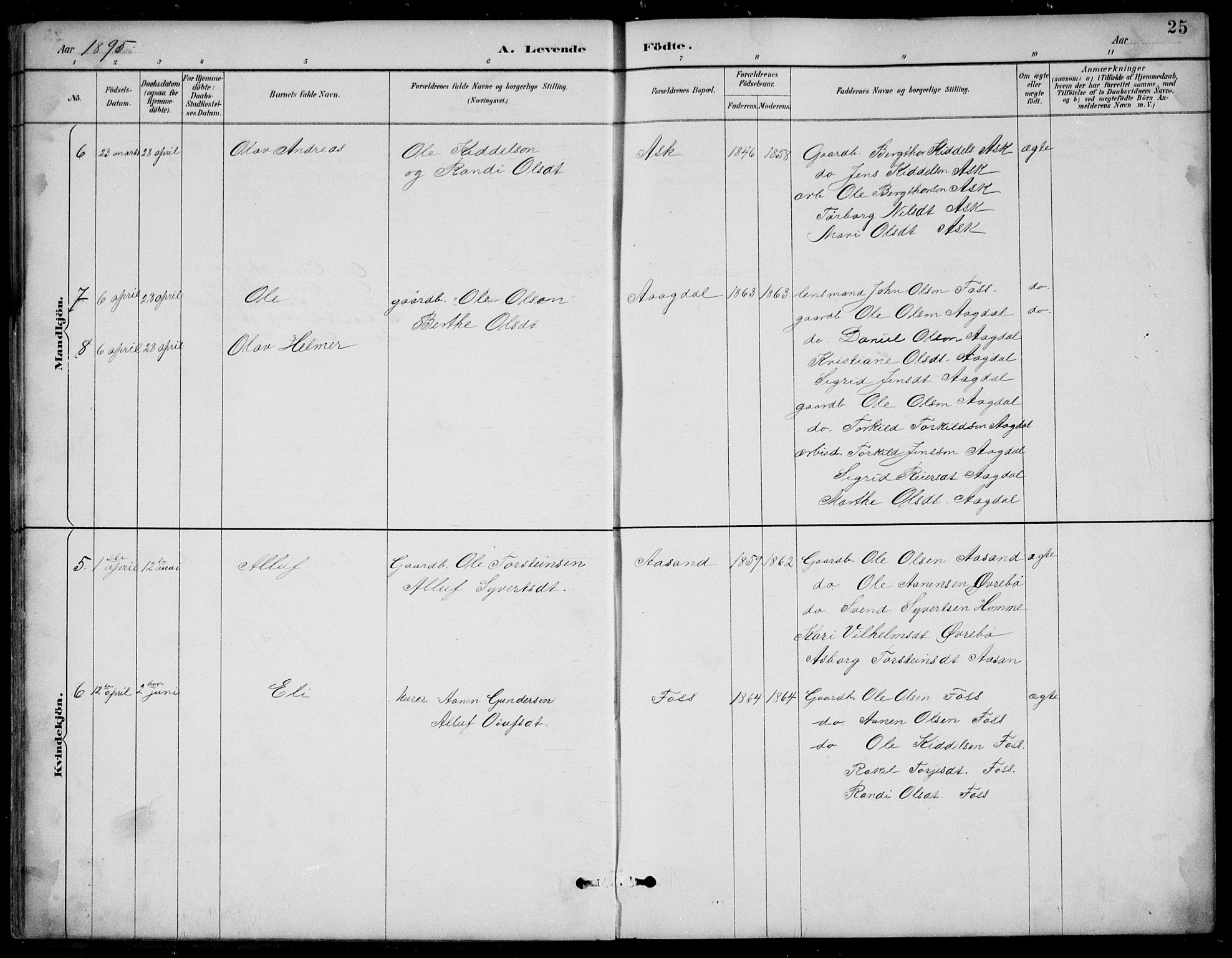 Bjelland sokneprestkontor, AV/SAK-1111-0005/F/Fb/Fba/L0005: Parish register (copy) no. B 5, 1887-1923, p. 25