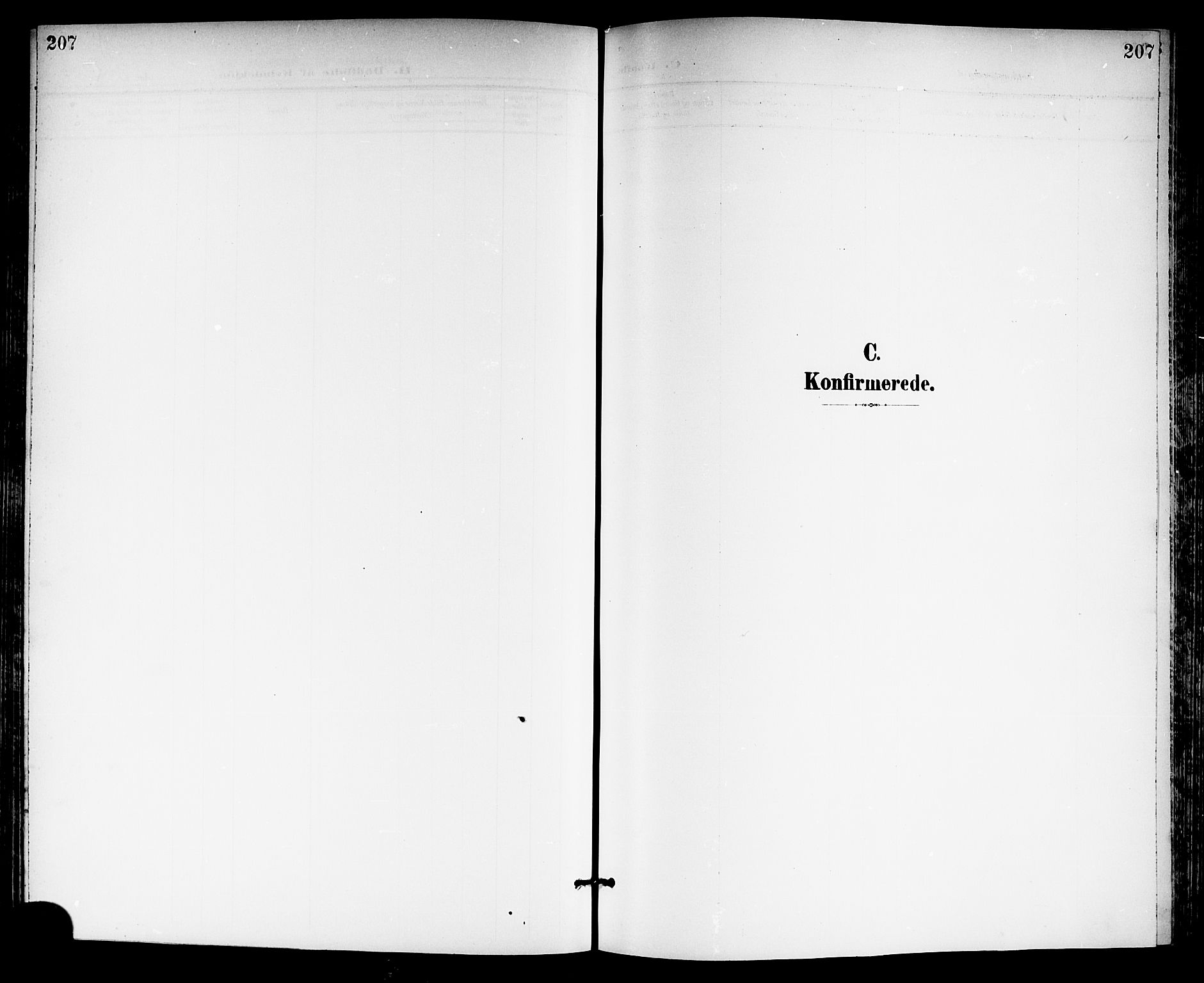 Gjerpen kirkebøker, SAKO/A-265/G/Ga/L0003: Parish register (copy) no. I 3, 1901-1919, p. 207