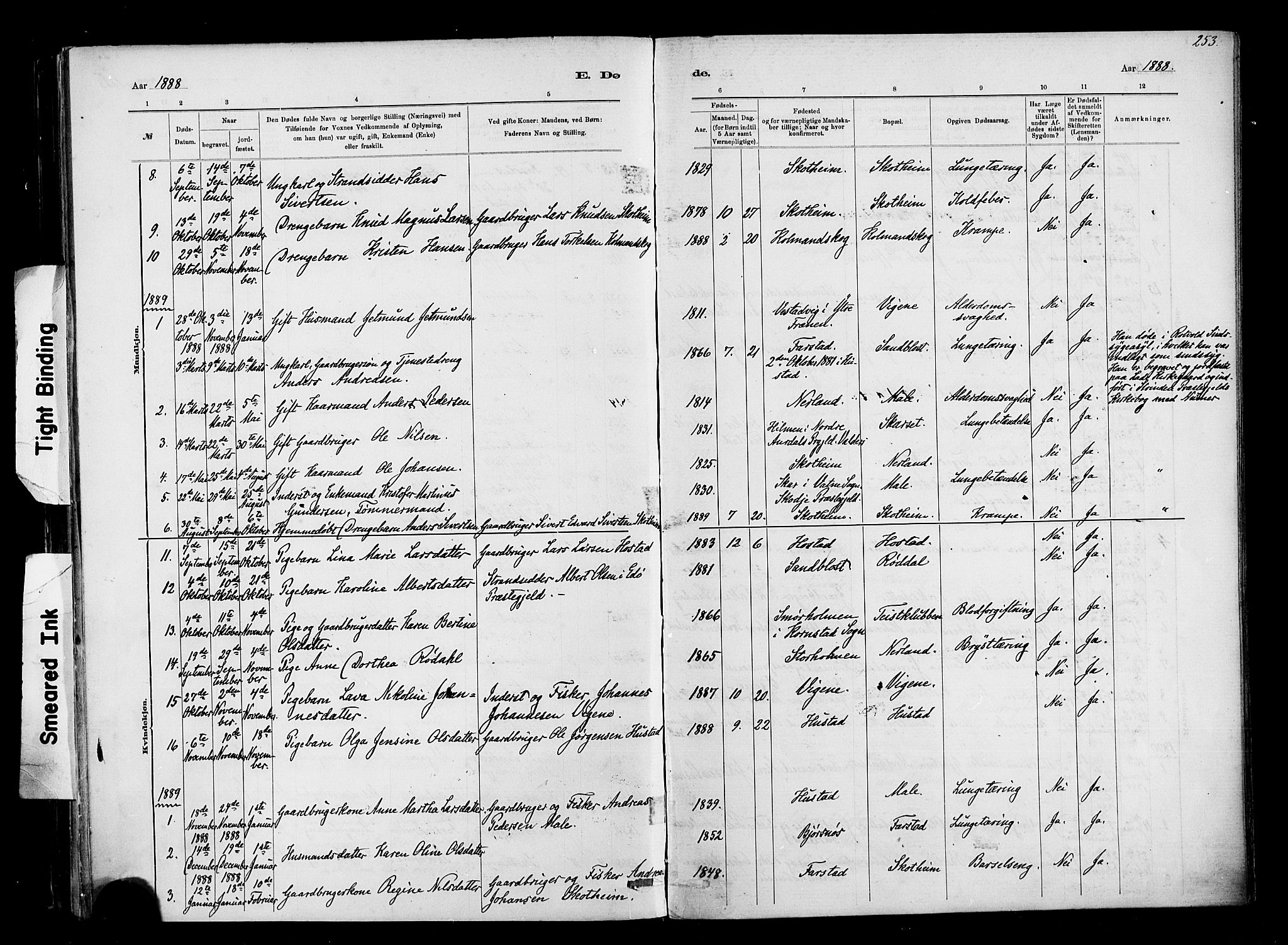 Ministerialprotokoller, klokkerbøker og fødselsregistre - Møre og Romsdal, AV/SAT-A-1454/567/L0778: Parish register (official) no. 567A01, 1881-1903, p. 253