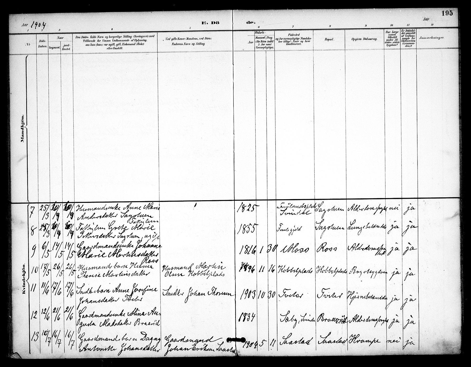 Våler prestekontor Kirkebøker, AV/SAO-A-11083/F/Fa/L0011: Parish register (official) no. I 11, 1893-1909, p. 195