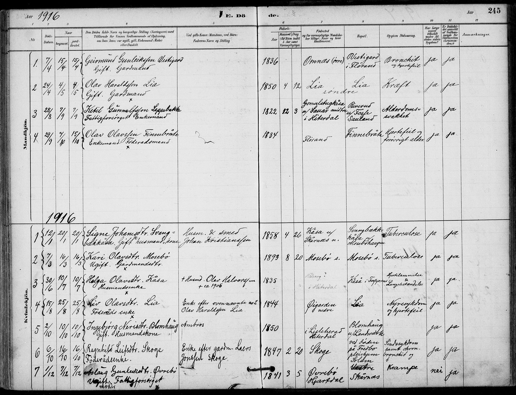 Hjartdal kirkebøker, SAKO/A-270/F/Fb/L0002: Parish register (official) no. II 2, 1880-1932, p. 245