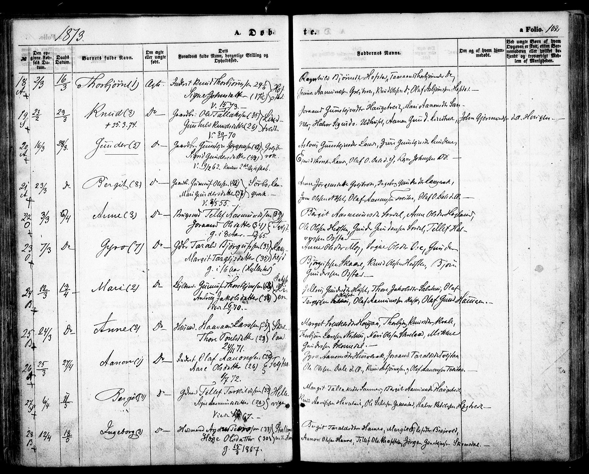 Bygland sokneprestkontor, SAK/1111-0006/F/Fa/Fab/L0005: Parish register (official) no. A 5, 1859-1873, p. 102
