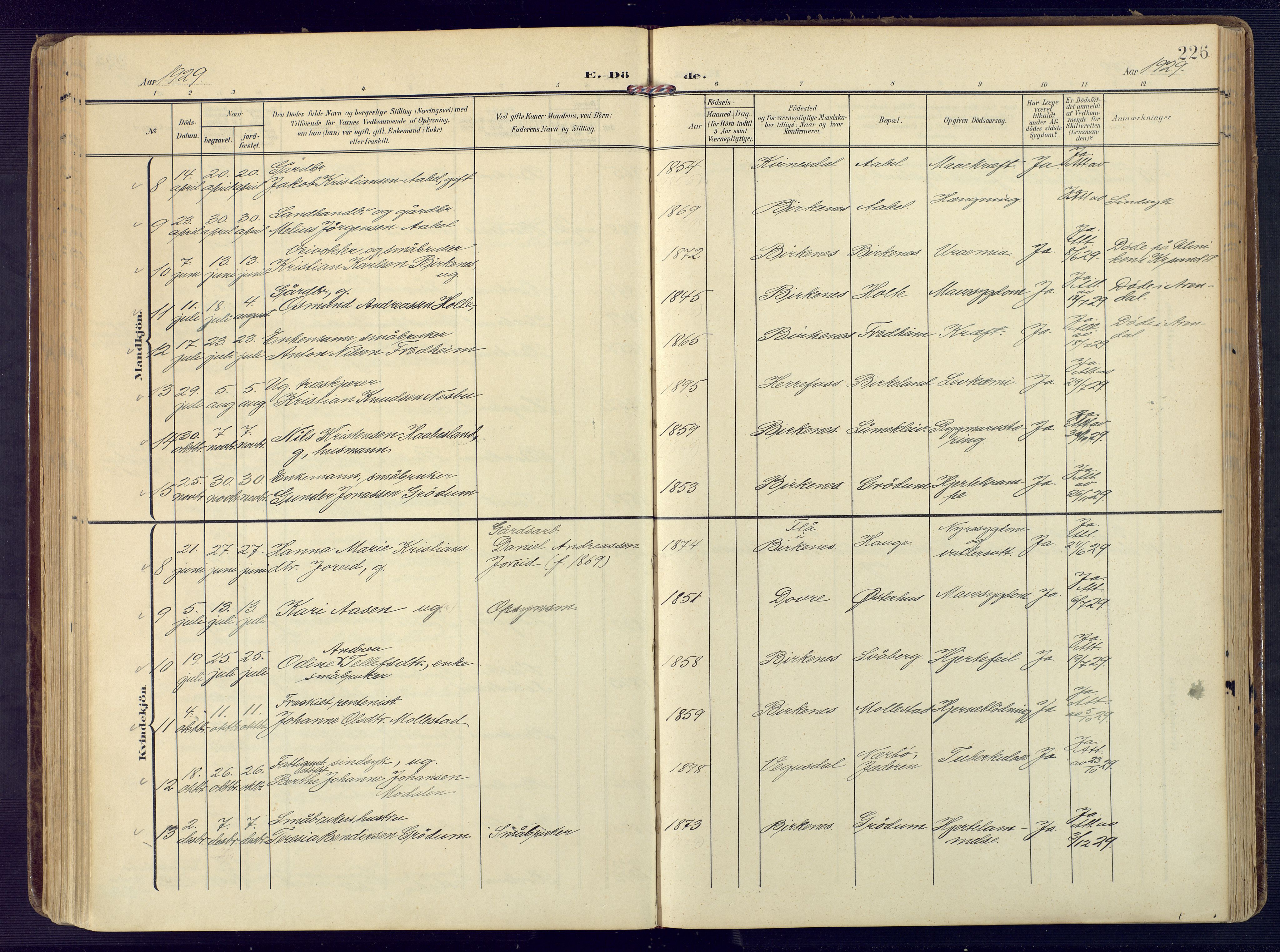 Birkenes sokneprestkontor, SAK/1111-0004/F/Fa/L0006: Parish register (official) no. A 6, 1908-1932, p. 226