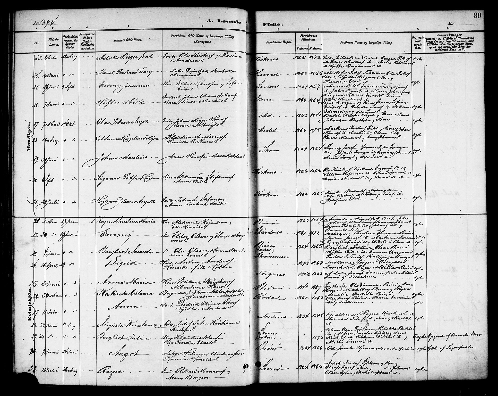 Ministerialprotokoller, klokkerbøker og fødselsregistre - Nordland, SAT/A-1459/813/L0213: Parish register (copy) no. 813C05, 1887-1903, p. 39