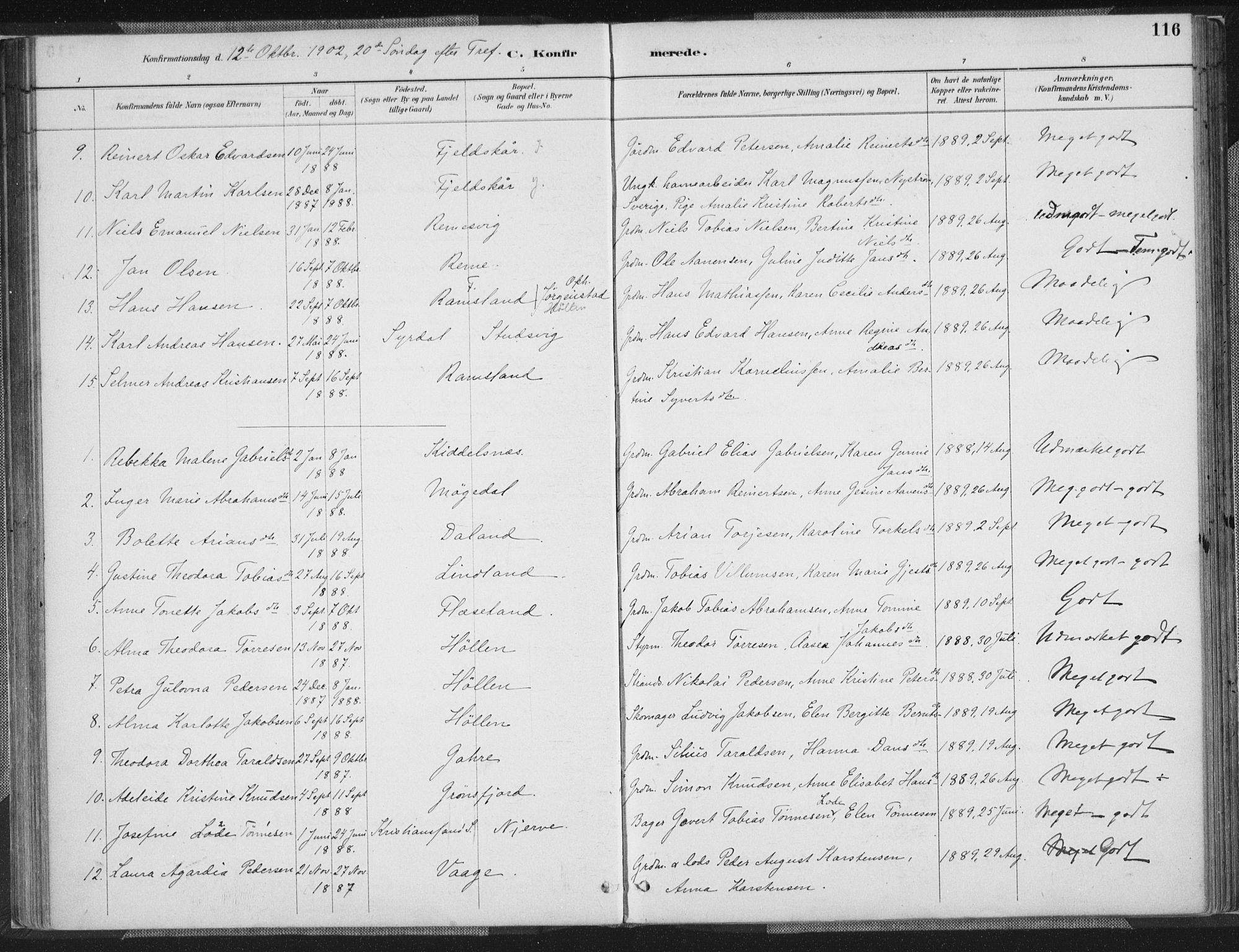 Sør-Audnedal sokneprestkontor, AV/SAK-1111-0039/F/Fa/Faa/L0004: Parish register (official) no. A 4, 1884-1909, p. 116