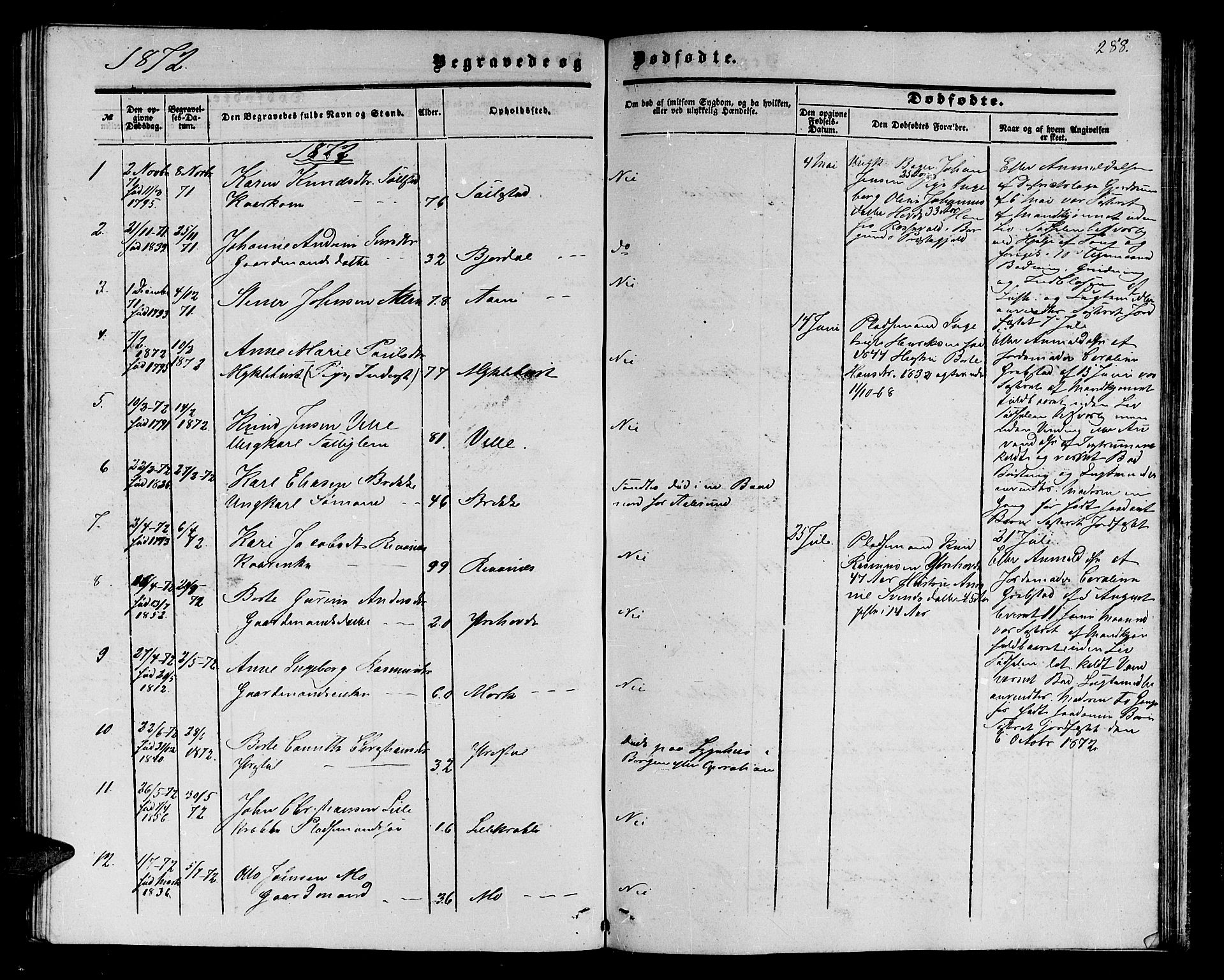 Ministerialprotokoller, klokkerbøker og fødselsregistre - Møre og Romsdal, AV/SAT-A-1454/513/L0188: Parish register (copy) no. 513C02, 1865-1882, p. 288