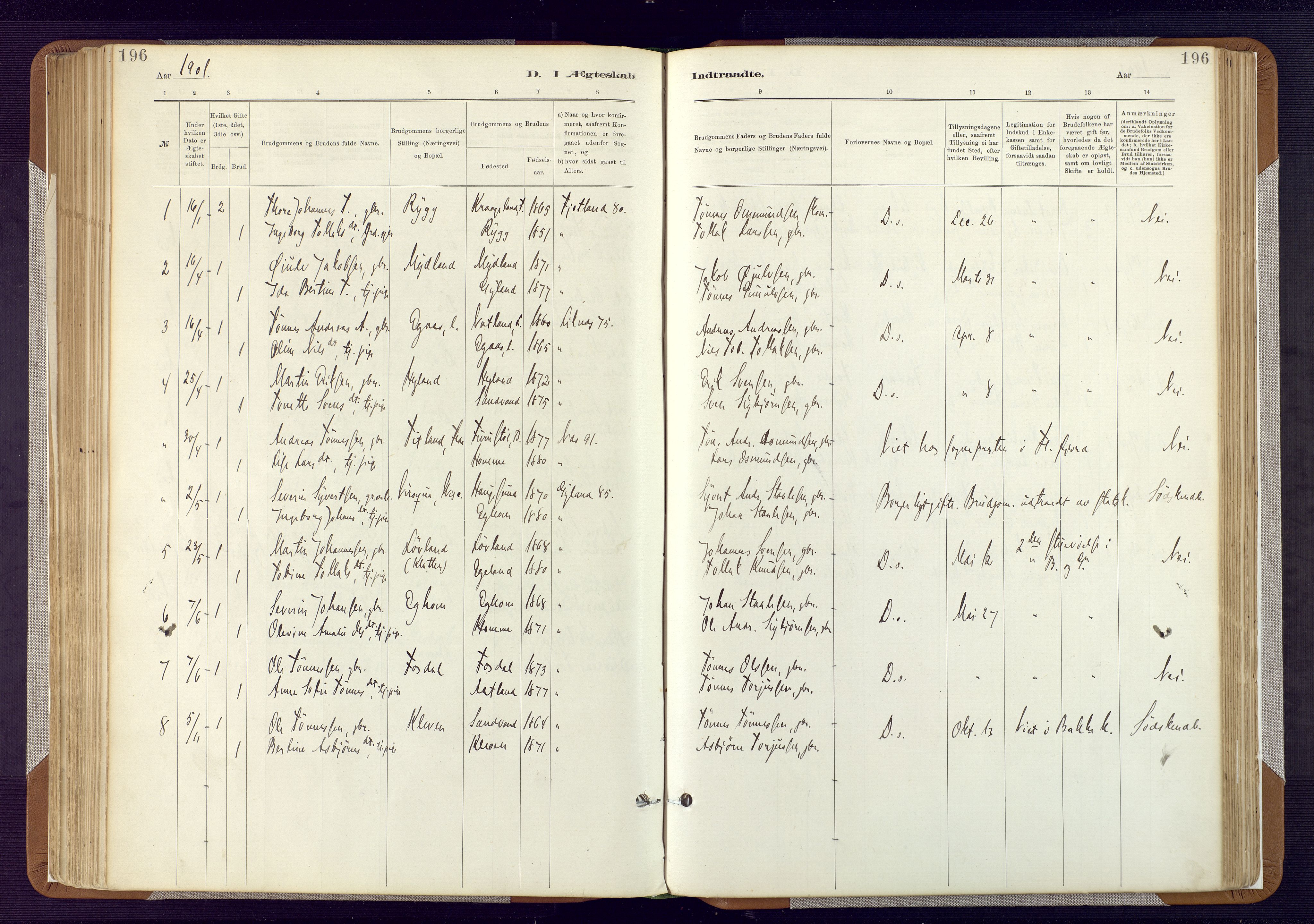 Bakke sokneprestkontor, SAK/1111-0002/F/Fa/Fab/L0003: Parish register (official) no. A 3, 1884-1921, p. 196