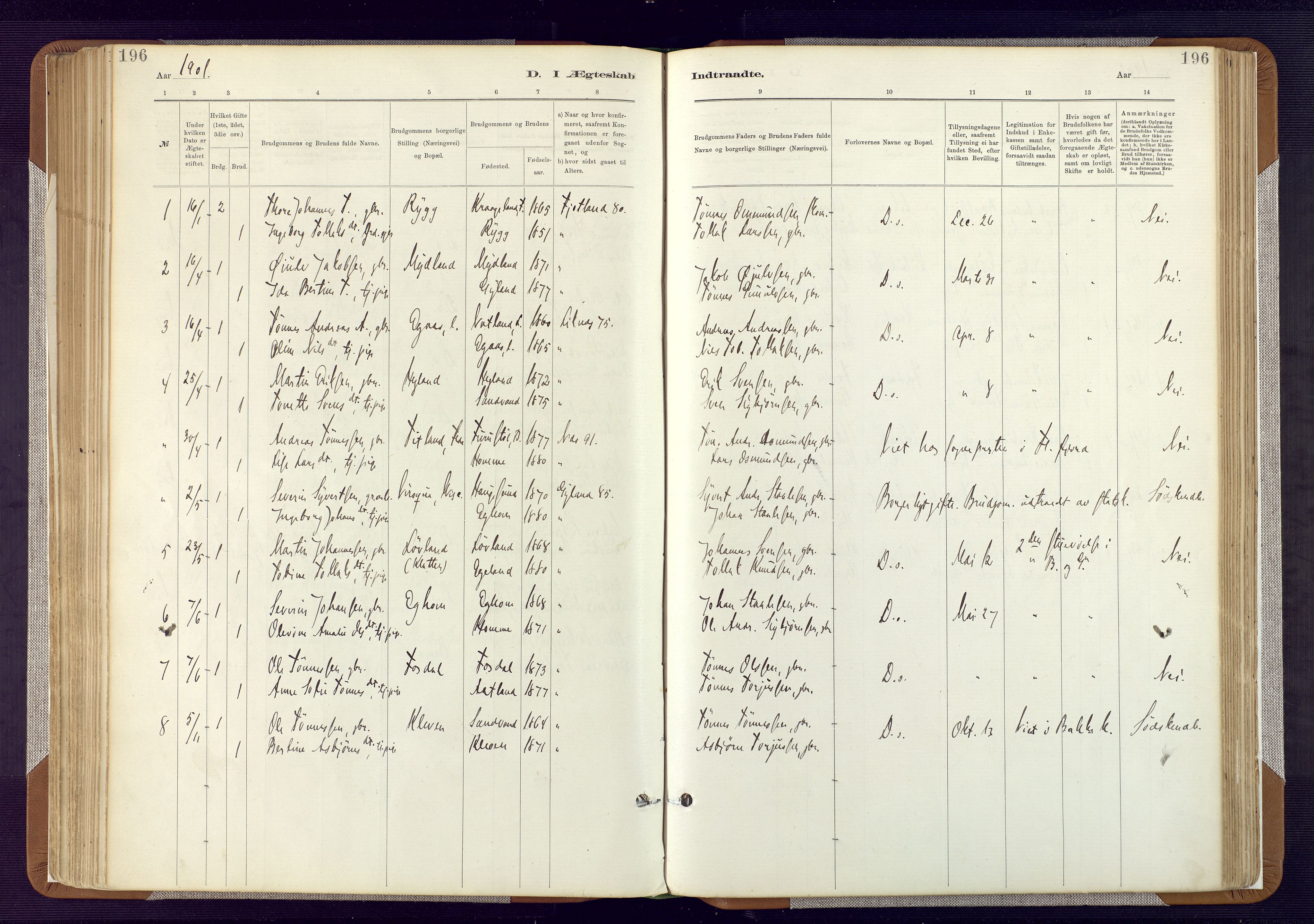 Bakke sokneprestkontor, AV/SAK-1111-0002/F/Fa/Fab/L0003: Parish register (official) no. A 3, 1884-1921, p. 196