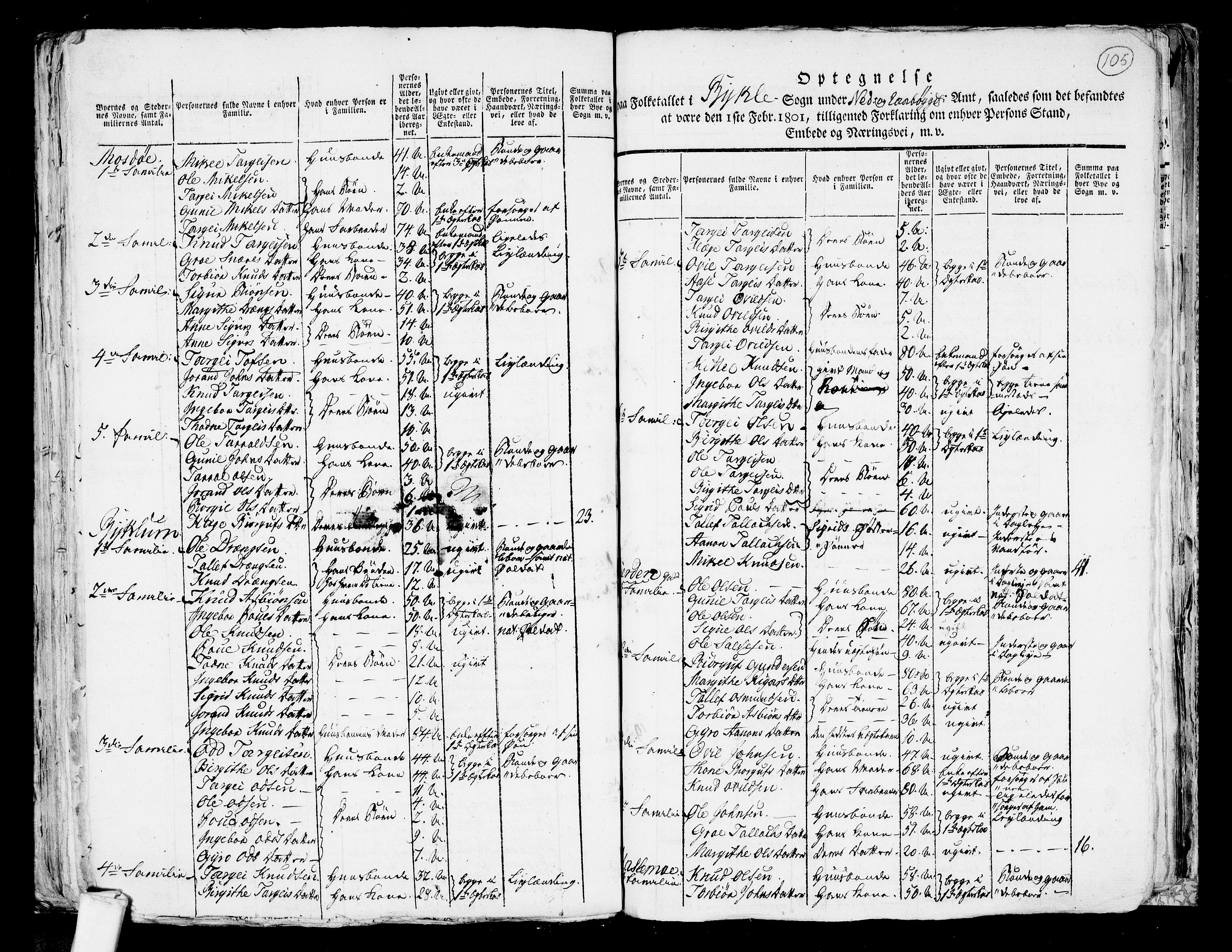 RA, 1801 census for 0940P Valle, 1801, p. 104b-105a