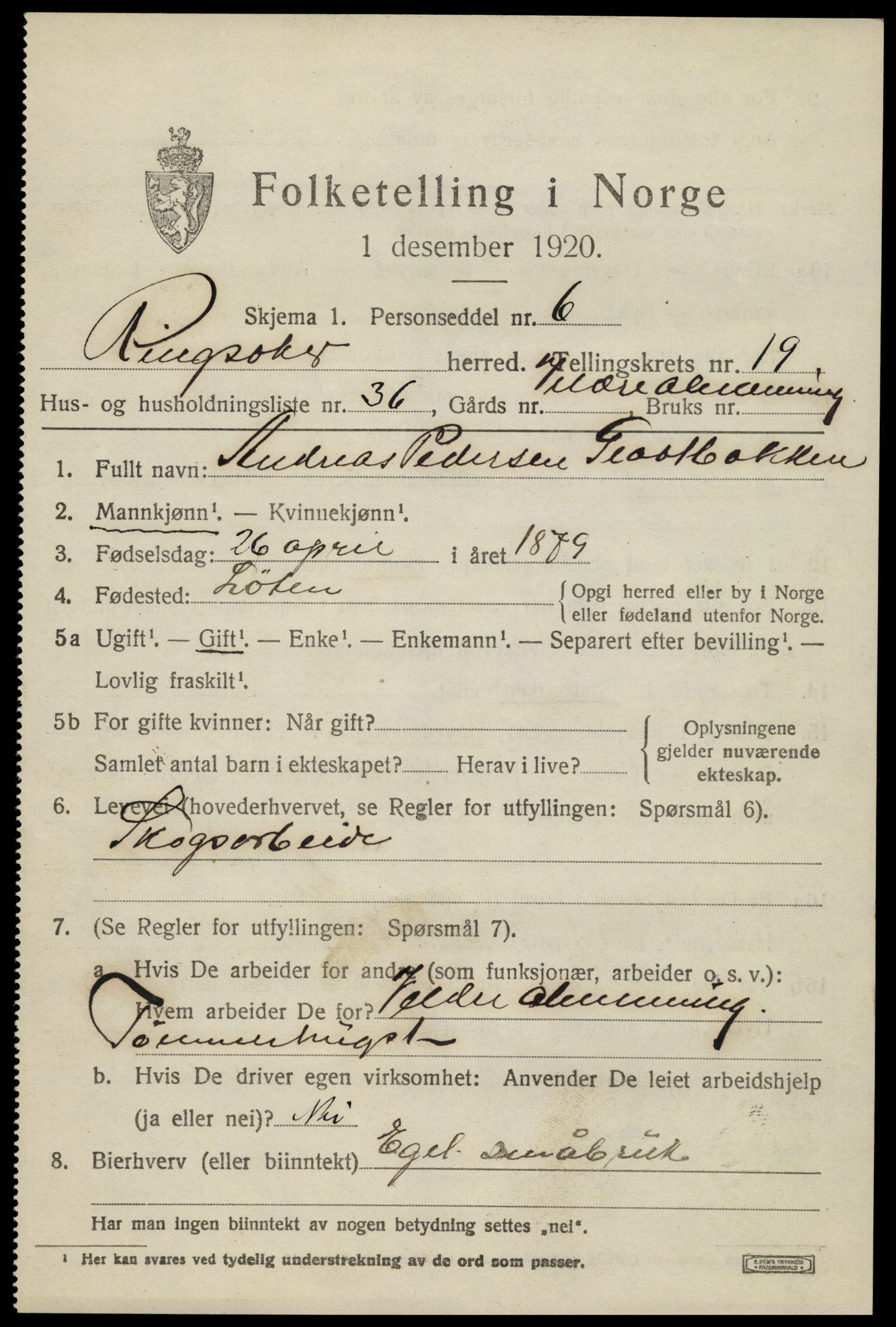 SAH, 1920 census for Ringsaker, 1920, p. 26982