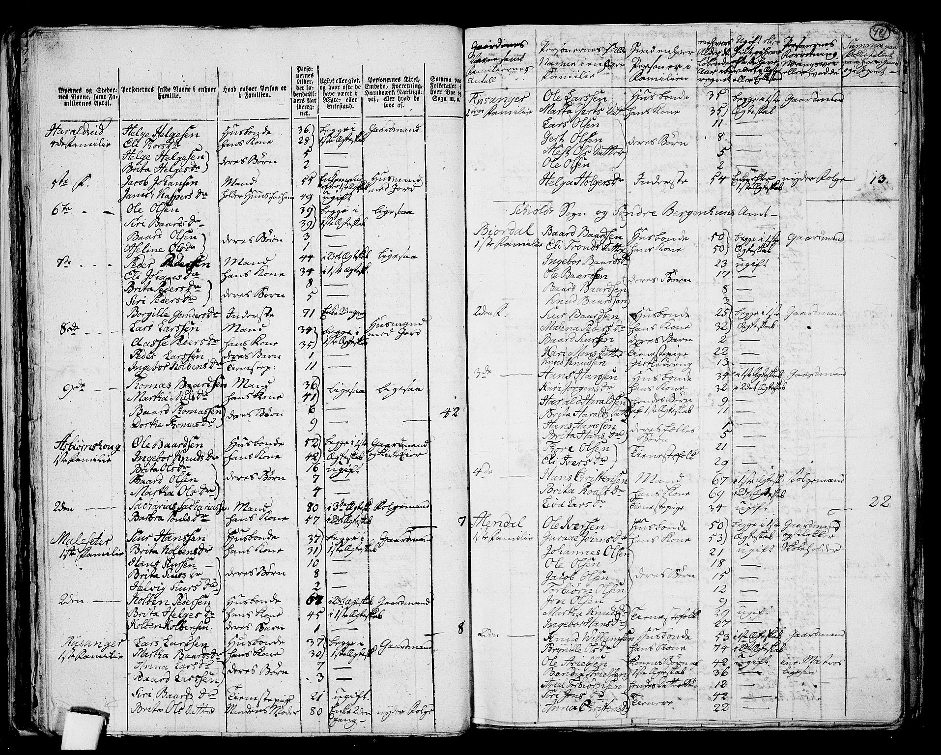 RA, 1801 census for 1154P Skjold, 1801, p. 480b-481a