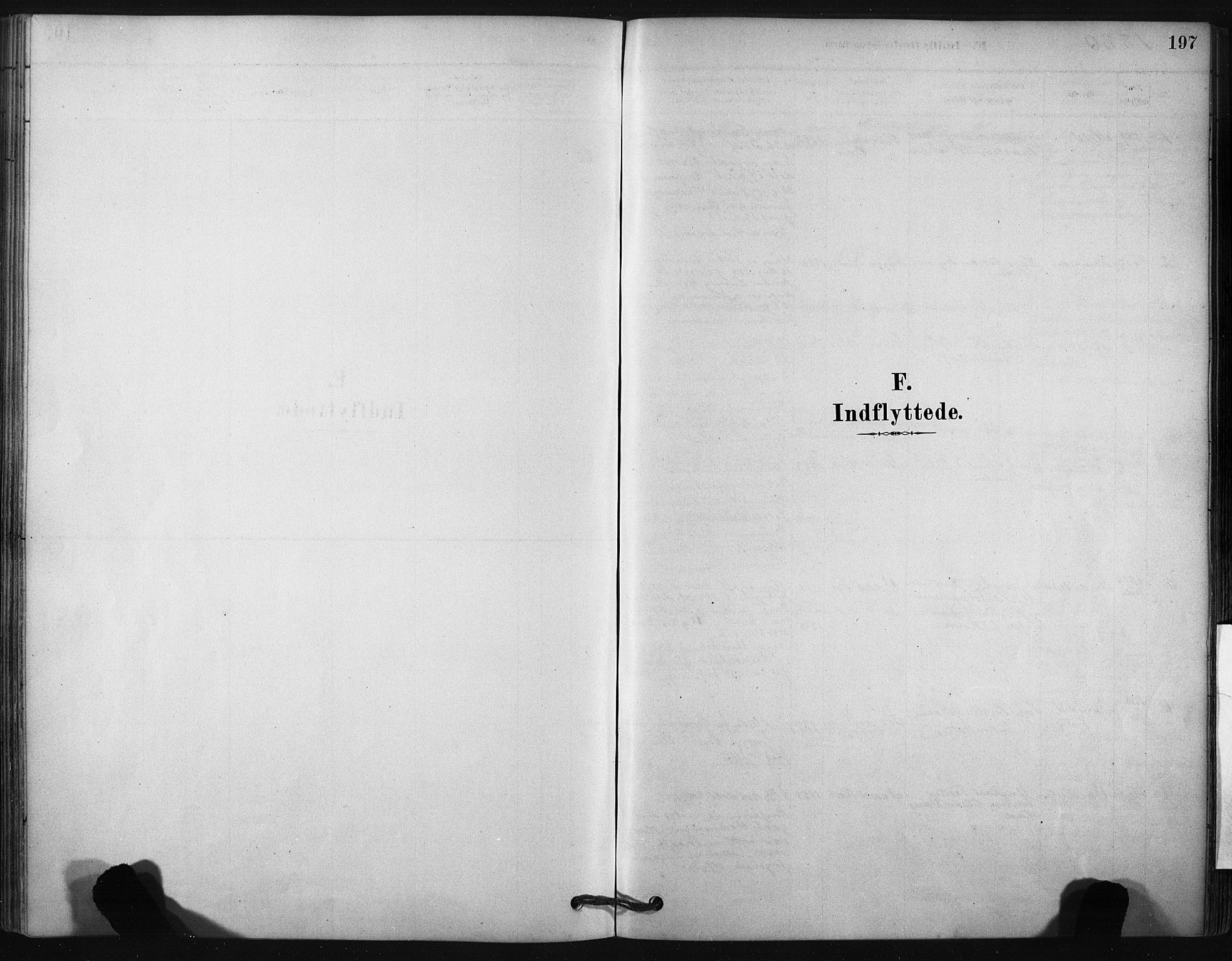 Ministerialprotokoller, klokkerbøker og fødselsregistre - Nordland, AV/SAT-A-1459/807/L0122: Parish register (official) no. 807A05, 1880-1902, p. 197