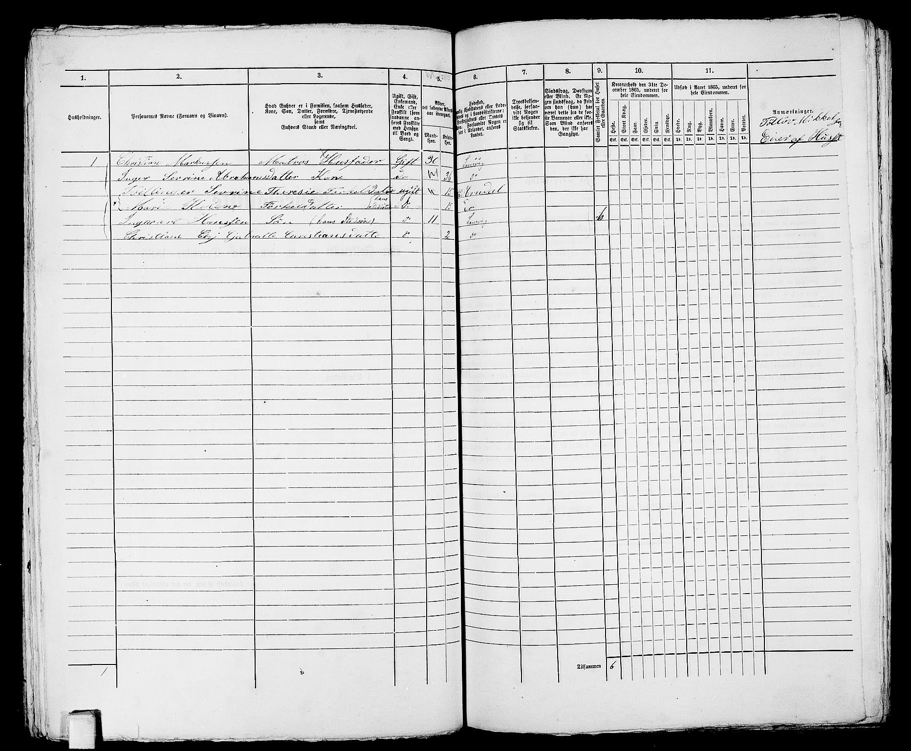 RA, 1865 census for Larvik, 1865, p. 899