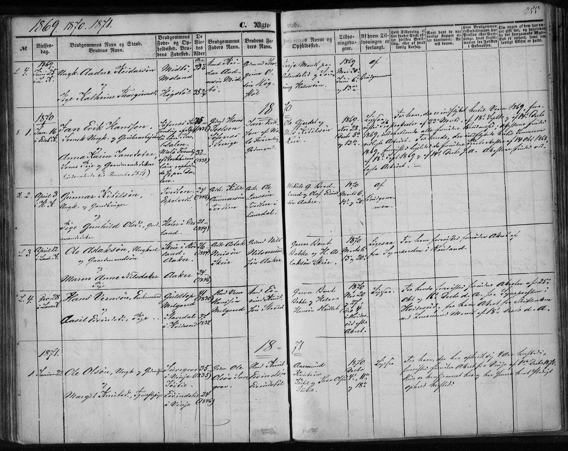 Lårdal kirkebøker, AV/SAKO-A-284/F/Fa/L0006: Parish register (official) no. I 6, 1861-1886, p. 255