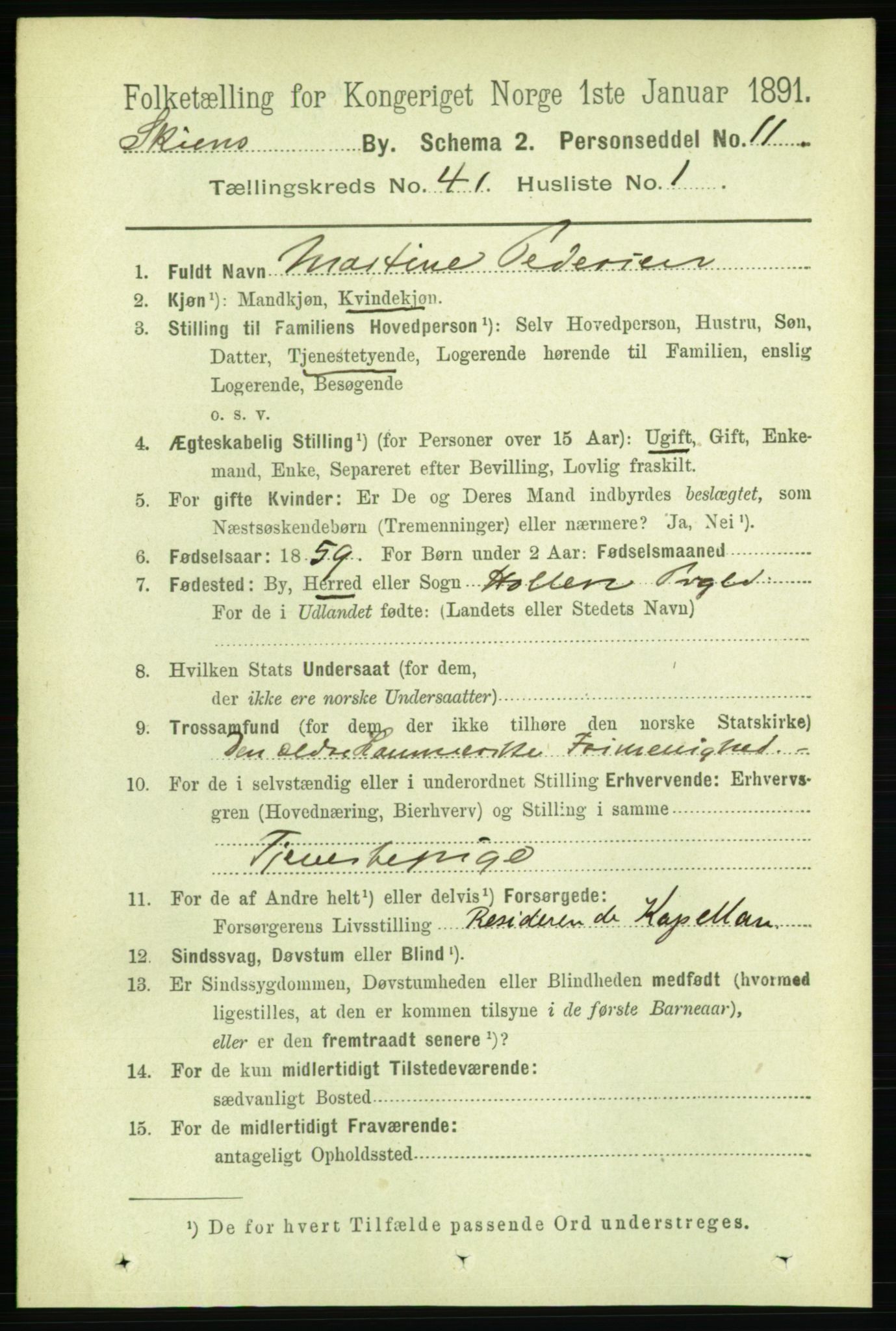 RA, 1891 census for 0806 Skien, 1891, p. 8451