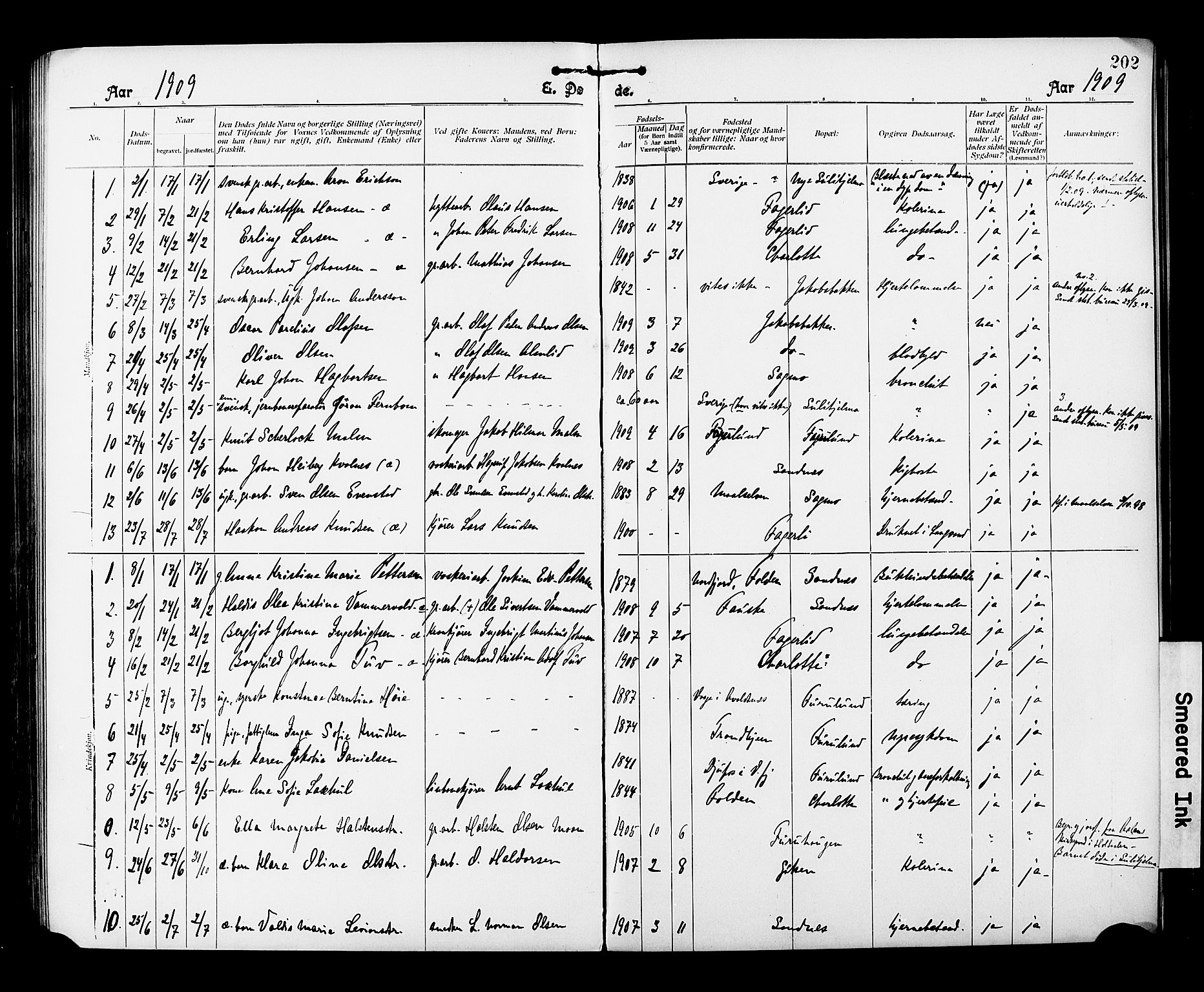 Ministerialprotokoller, klokkerbøker og fødselsregistre - Nordland, AV/SAT-A-1459/850/L0709: Parish register (official) no. 850A01, 1899-1909, p. 202