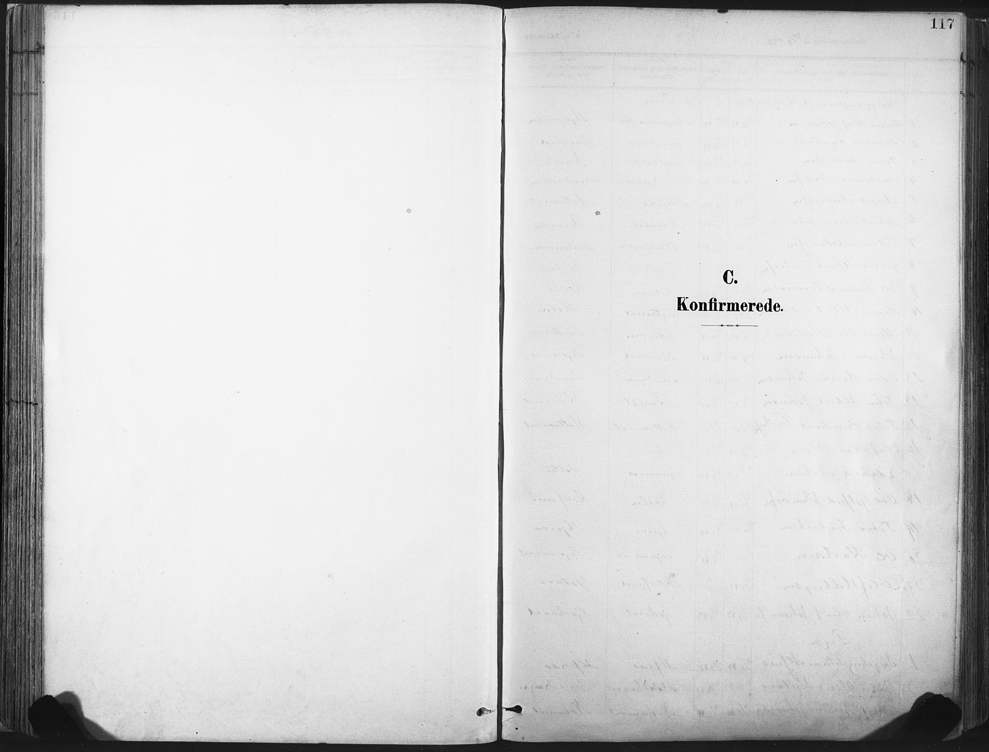 Ministerialprotokoller, klokkerbøker og fødselsregistre - Nord-Trøndelag, SAT/A-1458/717/L0162: Parish register (official) no. 717A12, 1898-1923, p. 117