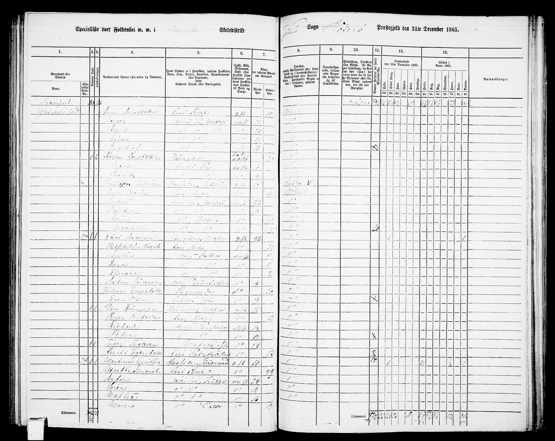 RA, 1865 census for Nøtterøy, 1865, p. 229