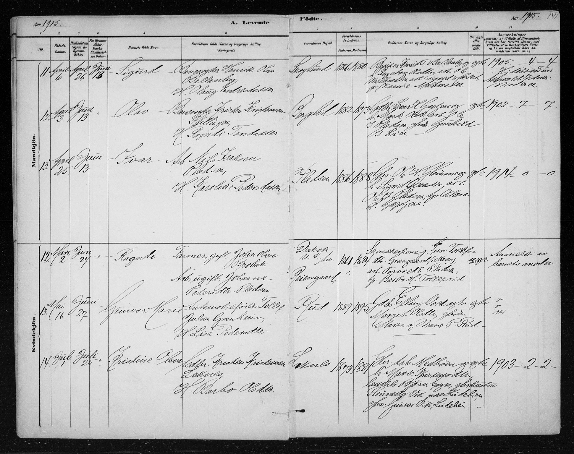 Nes kirkebøker, AV/SAKO-A-236/F/Fa/L0012: Parish register (official) no. 12, 1881-1917, p. 141