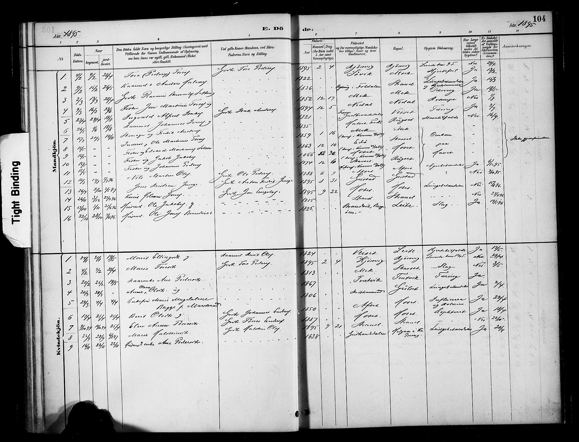 Ministerialprotokoller, klokkerbøker og fødselsregistre - Møre og Romsdal, AV/SAT-A-1454/568/L0809: Parish register (official) no. 568A13, 1884-1900, p. 104