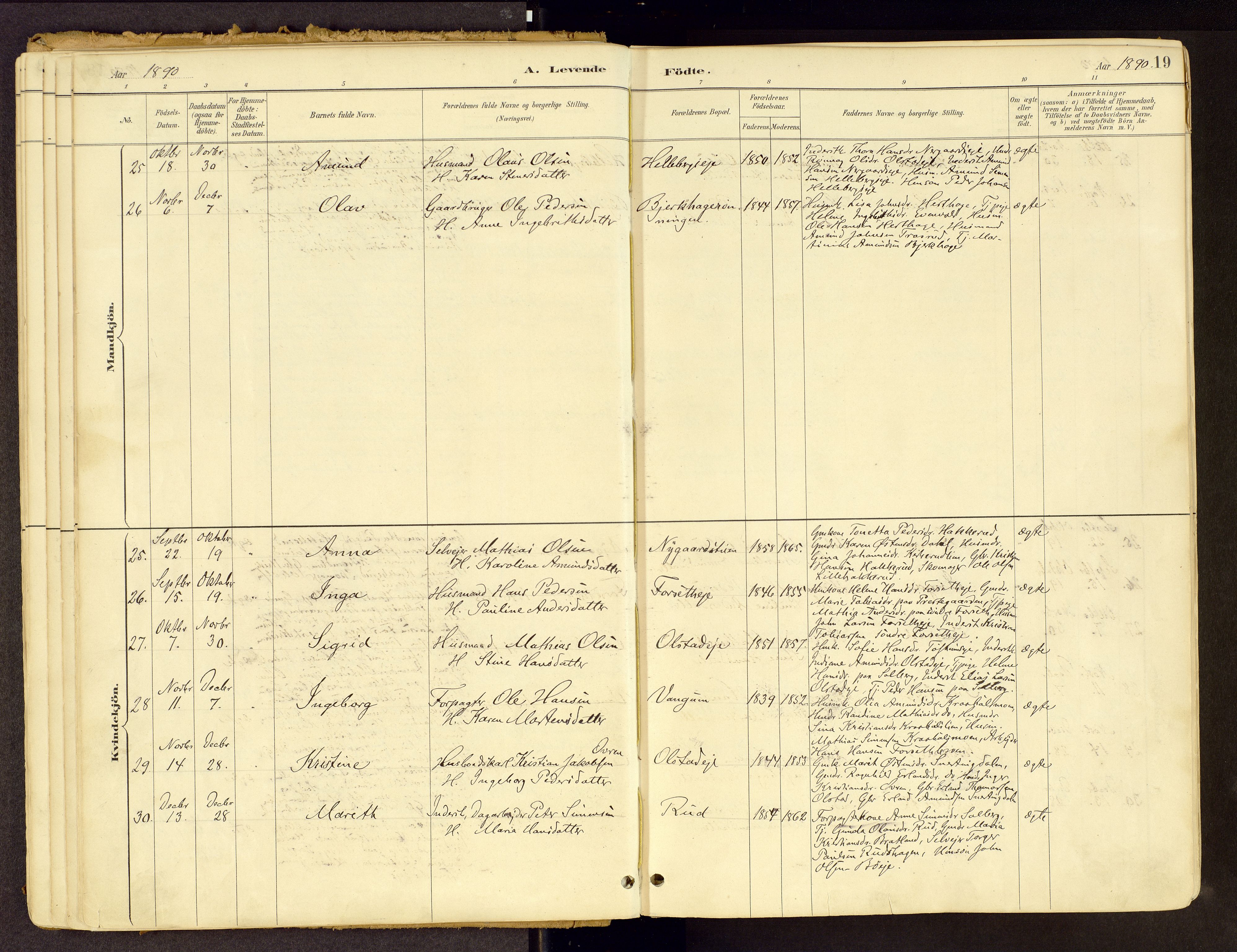 Vestre Gausdal prestekontor, AV/SAH-PREST-094/H/Ha/Haa/L0001: Parish register (official) no. 1, 1887-1914, p. 19