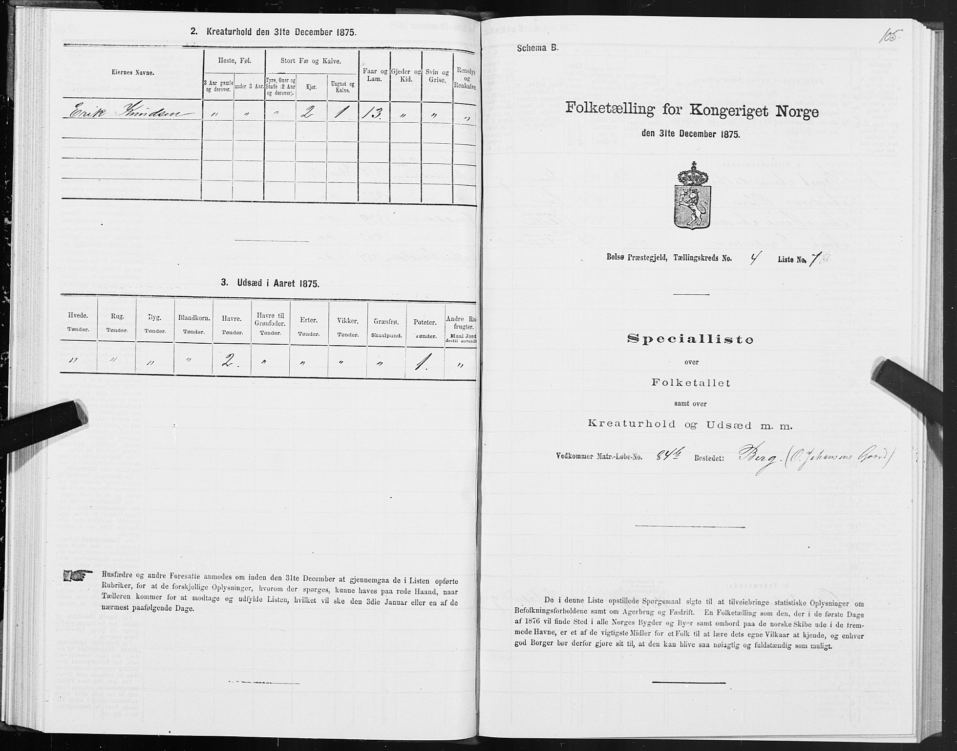 SAT, 1875 census for 1544P Bolsøy, 1875, p. 3105