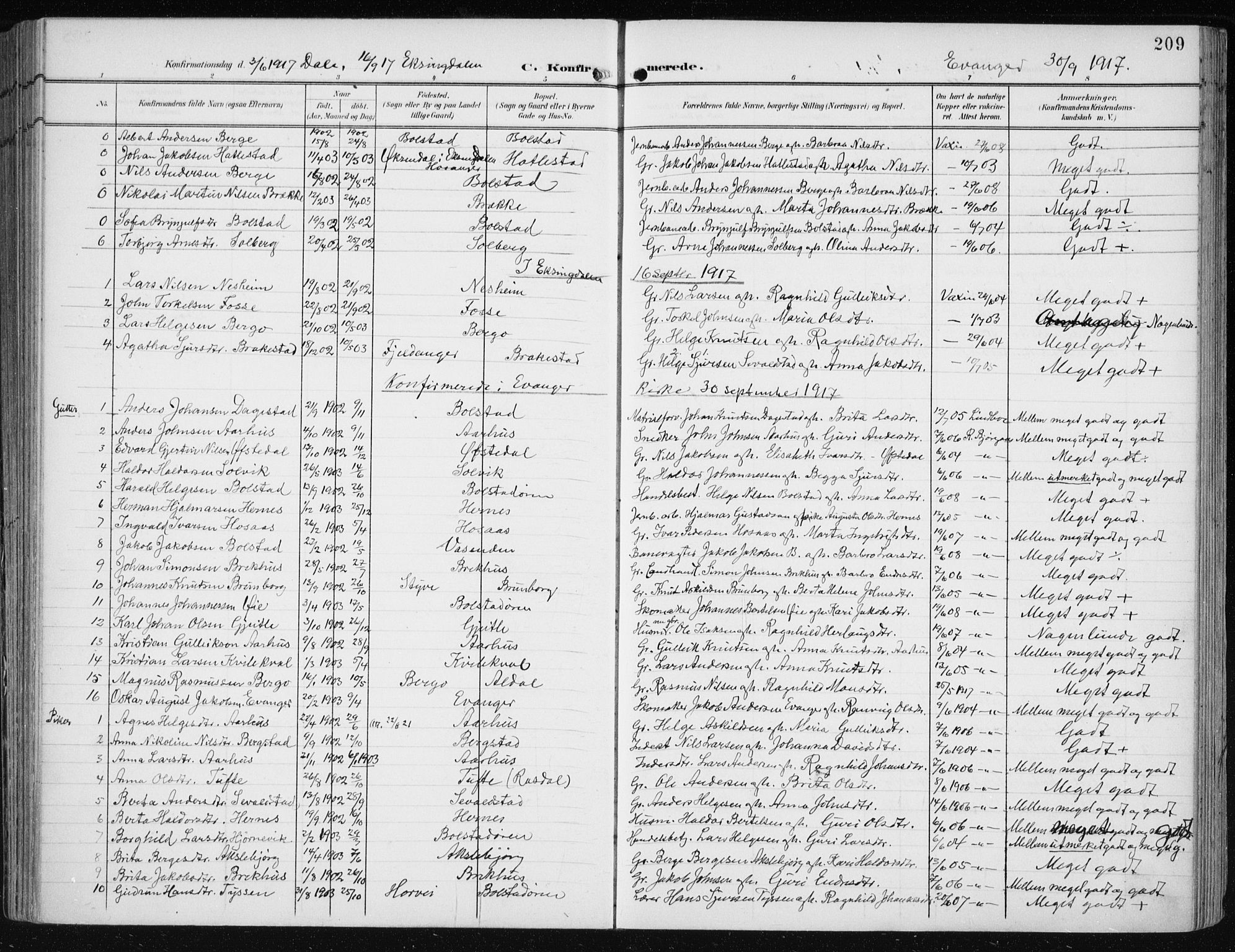 Evanger sokneprestembete, SAB/A-99924: Parish register (official) no. A  3, 1900-1930, p. 209