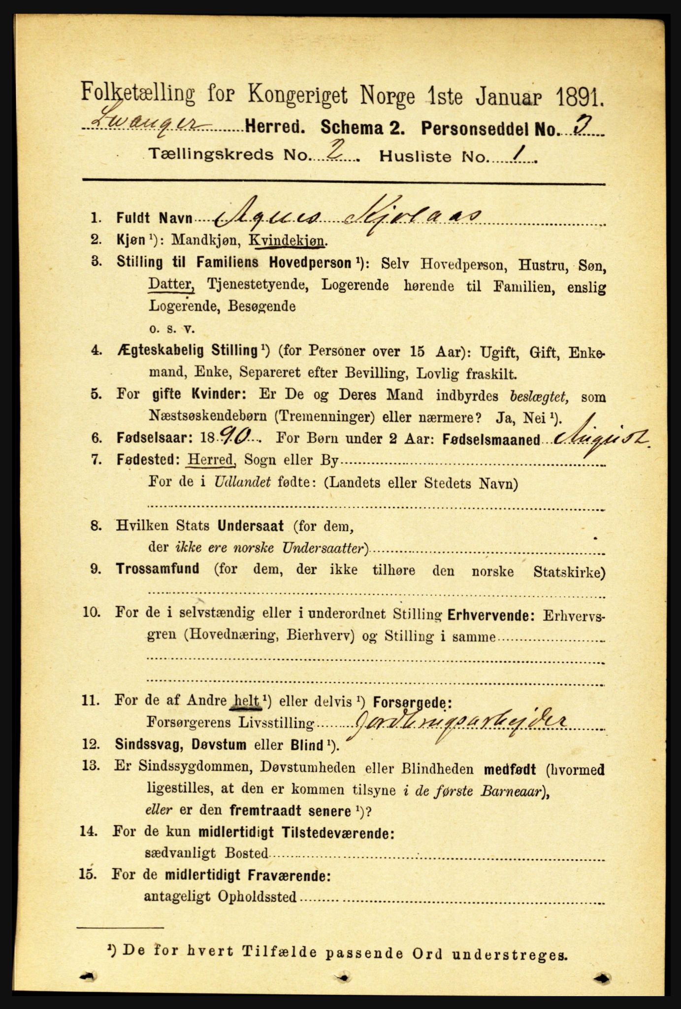 RA, 1891 census for 1720 Levanger, 1891, p. 869