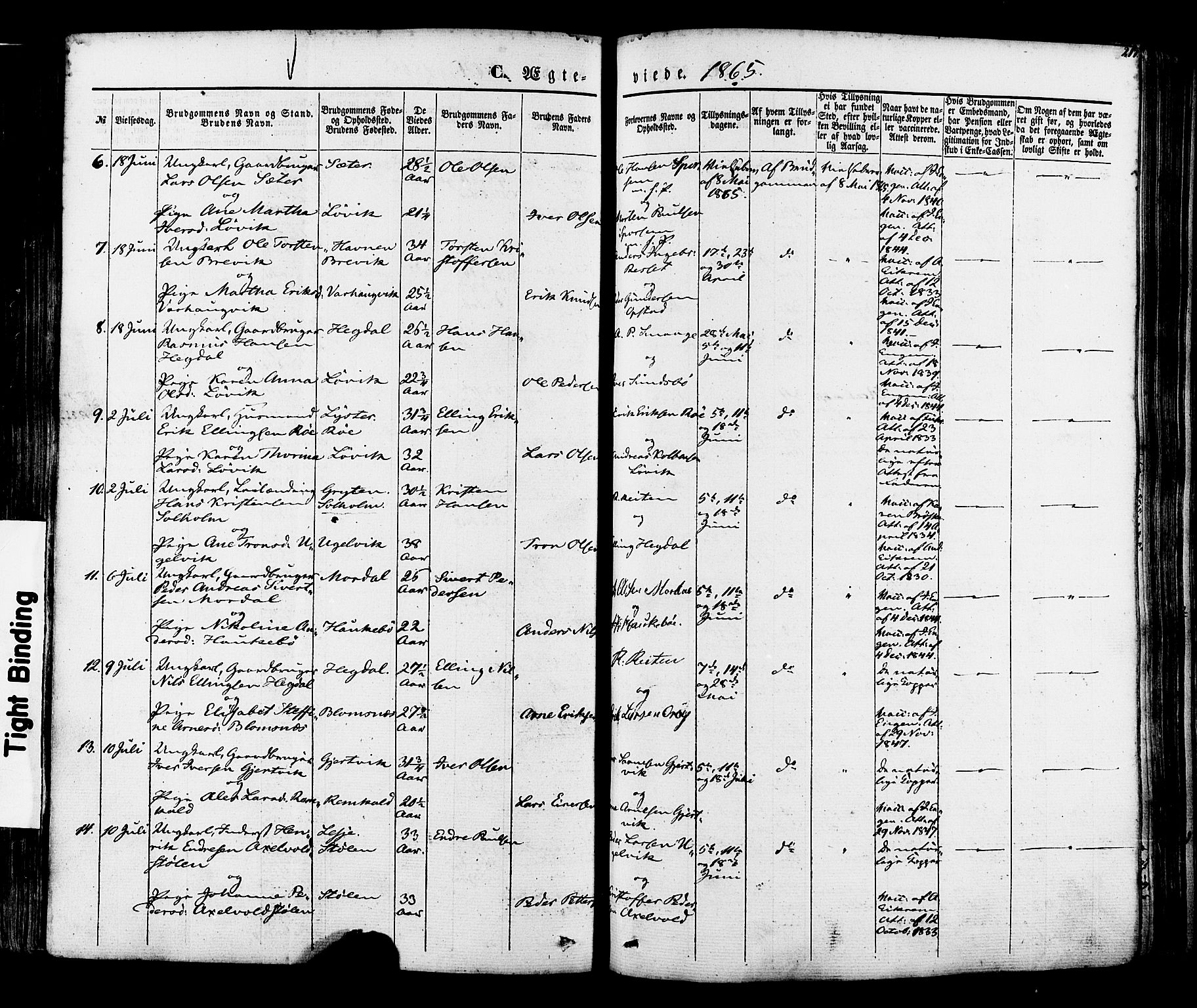 Ministerialprotokoller, klokkerbøker og fødselsregistre - Møre og Romsdal, AV/SAT-A-1454/560/L0719: Parish register (official) no. 560A03, 1845-1872, p. 217