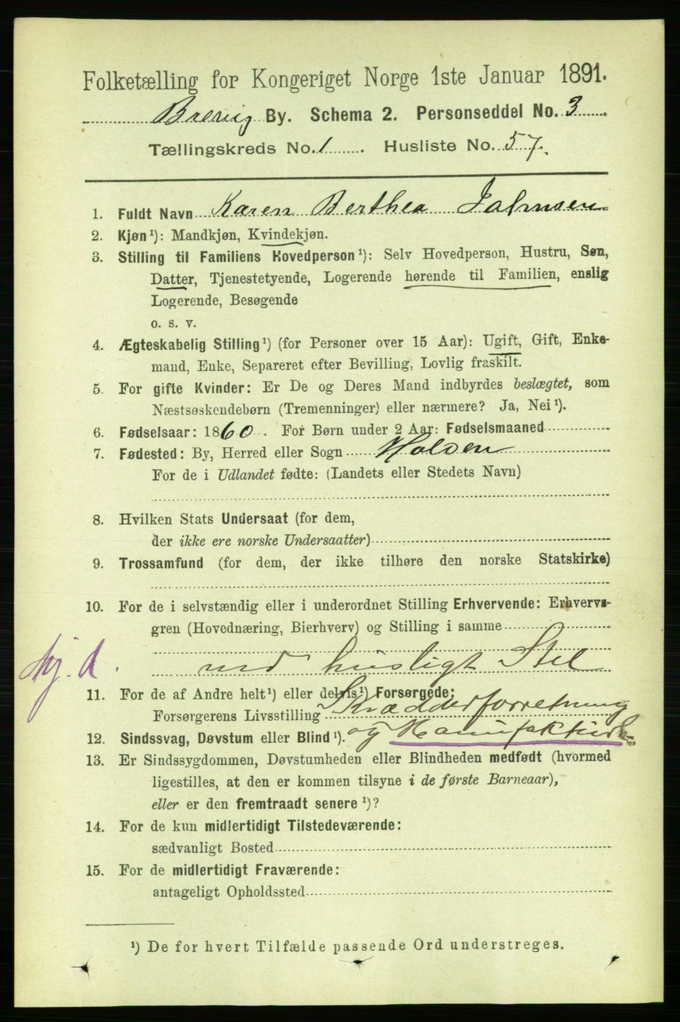 RA, 1891 census for 0804 Brevik, 1891, p. 1171