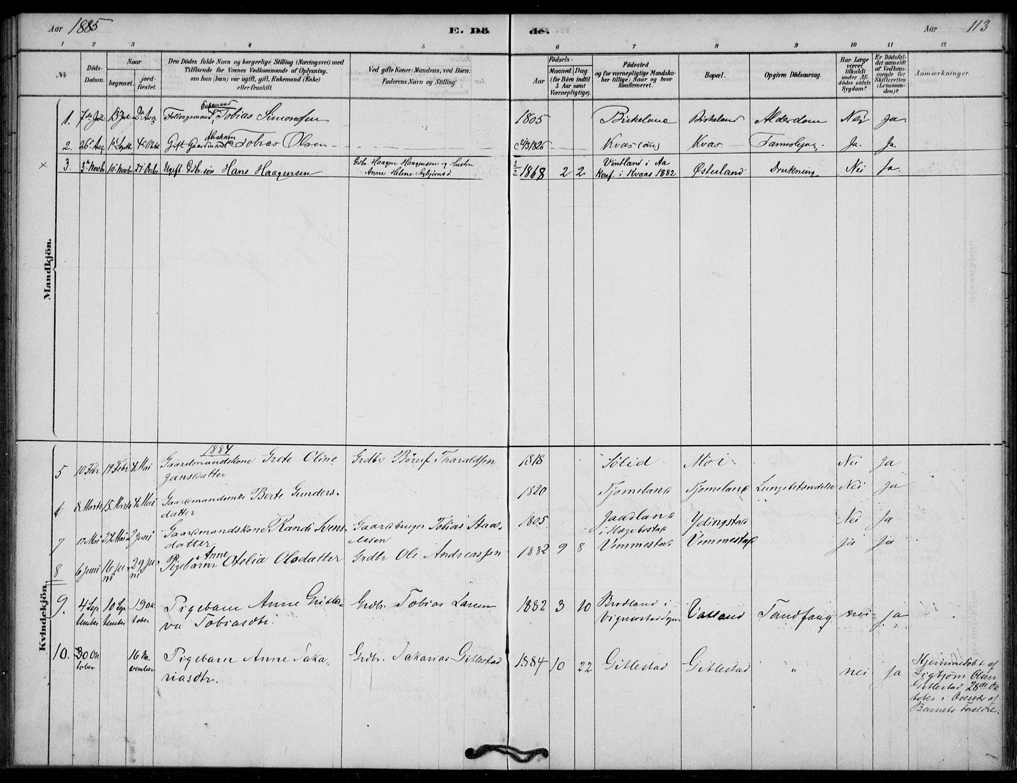 Lyngdal sokneprestkontor, AV/SAK-1111-0029/F/Fa/Fab/L0003: Parish register (official) no. A 3, 1878-1903, p. 113