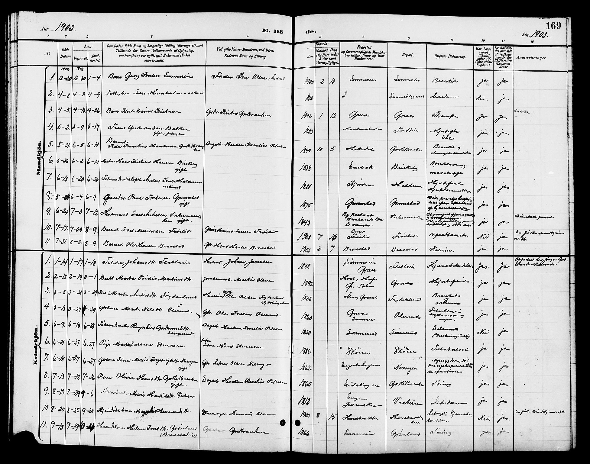 Jevnaker prestekontor, SAH/PREST-116/H/Ha/Hab/L0003: Parish register (copy) no. 3, 1896-1909, p. 169