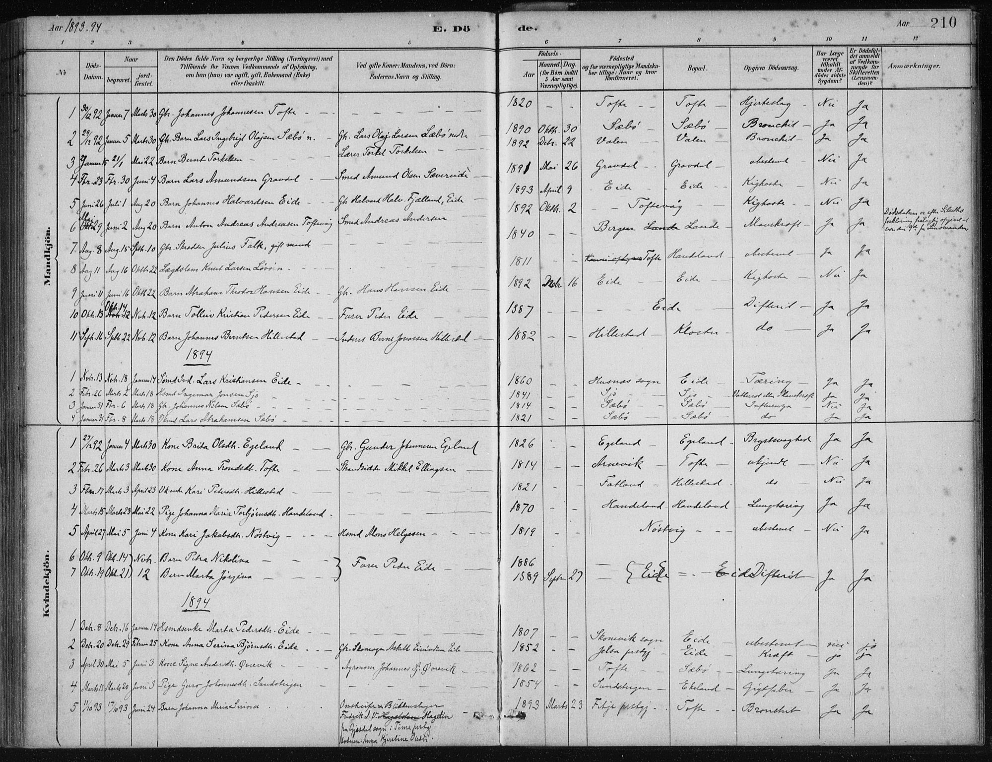 Fjelberg sokneprestembete, SAB/A-75201/H/Haa: Parish register (official) no. C  1, 1879-1918, p. 210