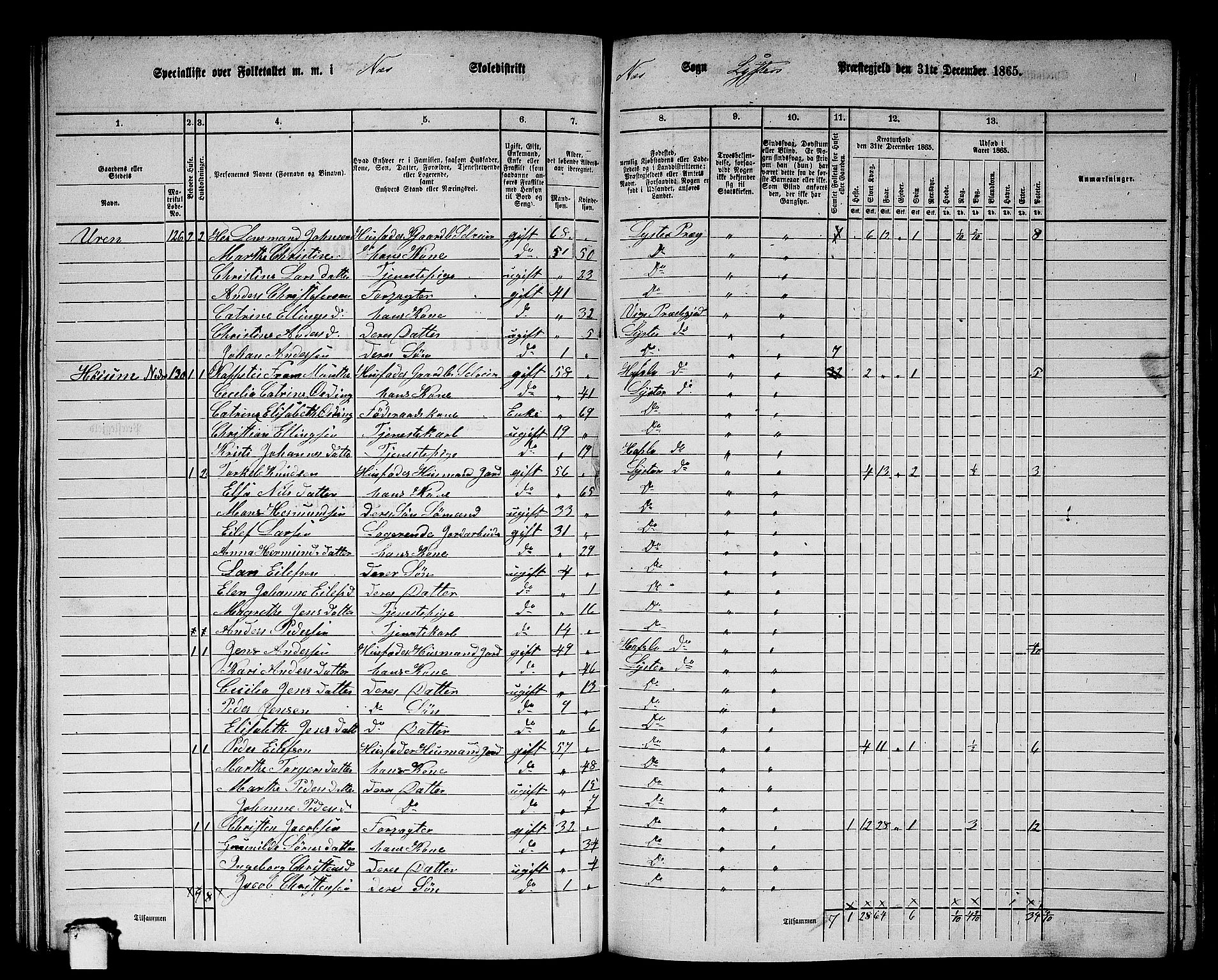 RA, 1865 census for Luster, 1865, p. 117