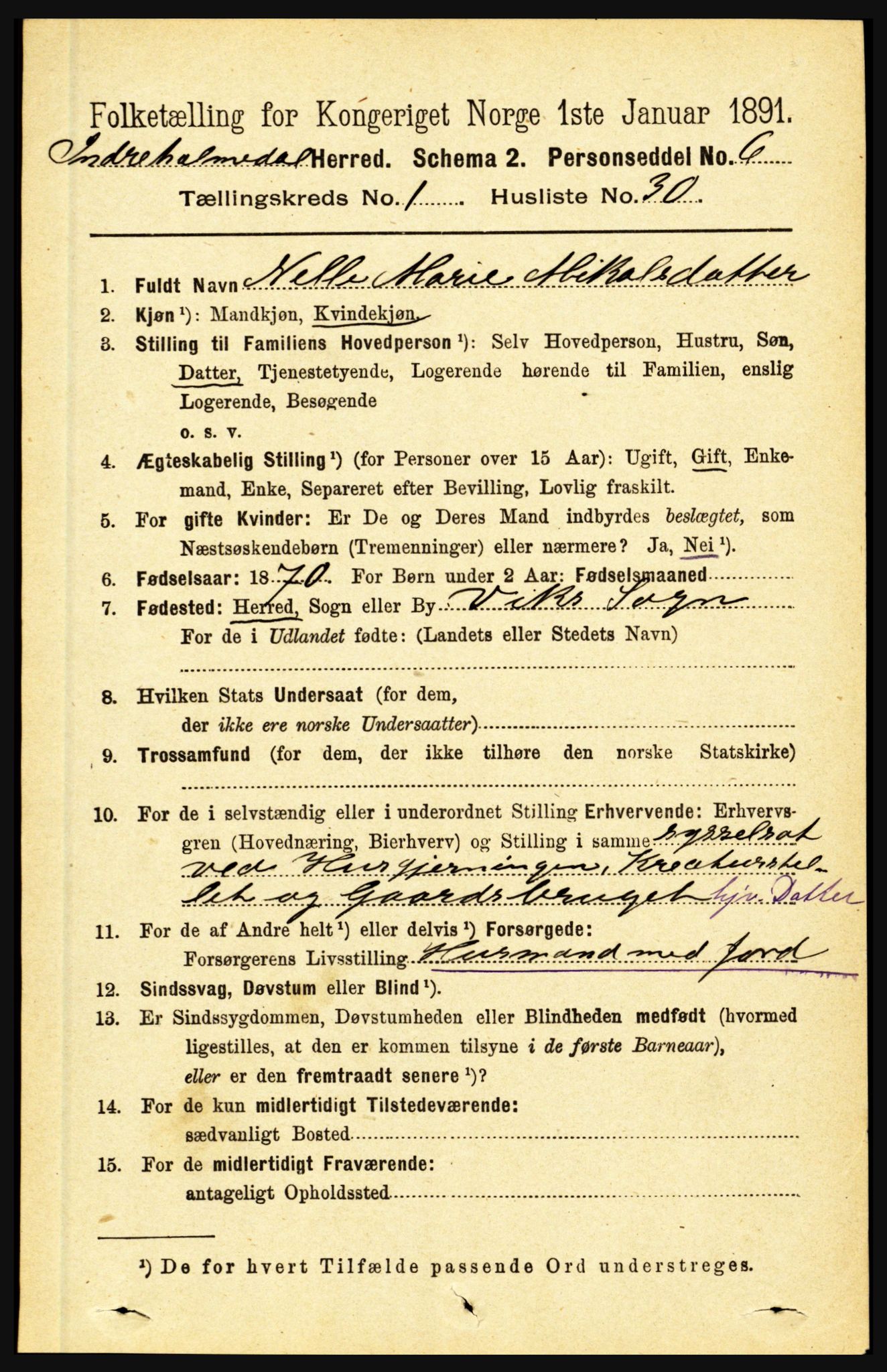 RA, 1891 census for 1430 Indre Holmedal, 1891, p. 291