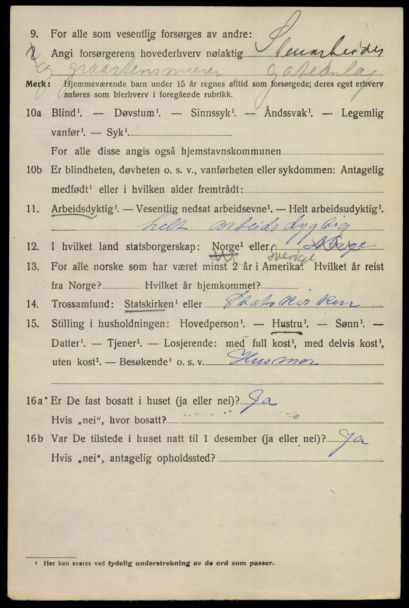 SAKO, 1920 census for Kragerø, 1920, p. 5728