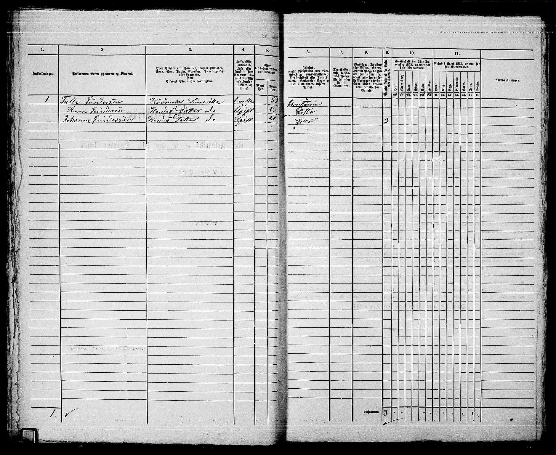 RA, 1865 census for Kristiania, 1865, p. 4097