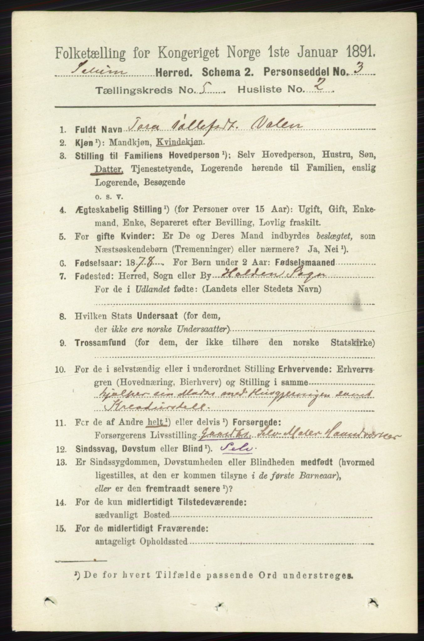 RA, 1891 census for 0818 Solum, 1891, p. 841