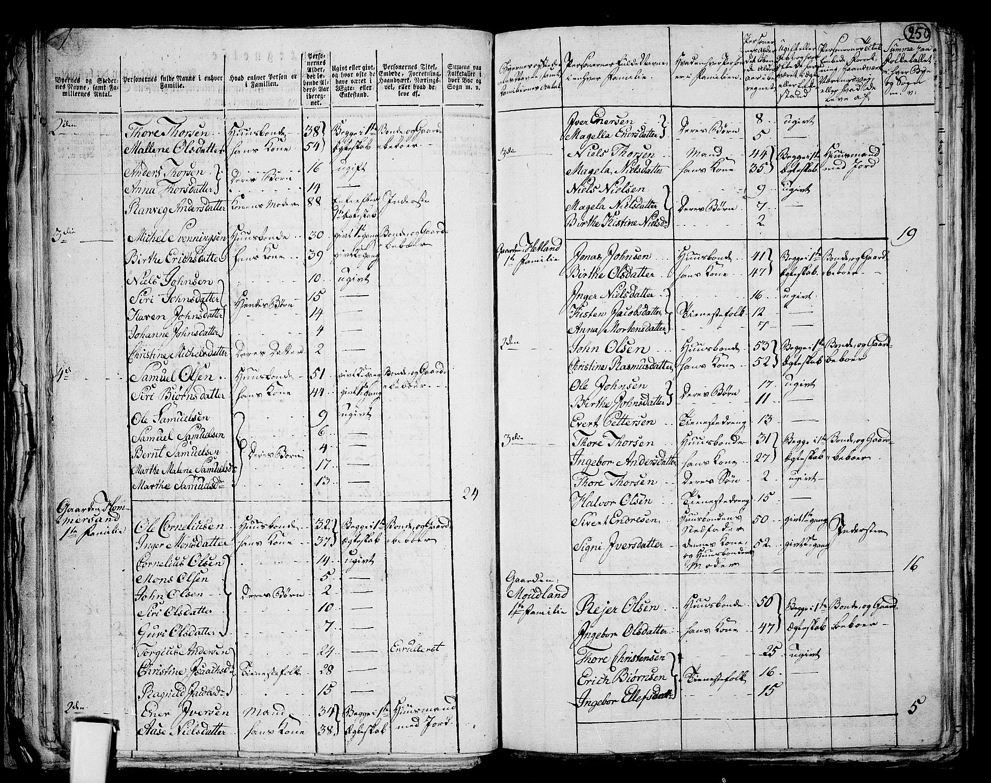 RA, 1801 census for 1103P Stavanger, 1801, p. 249b-250a