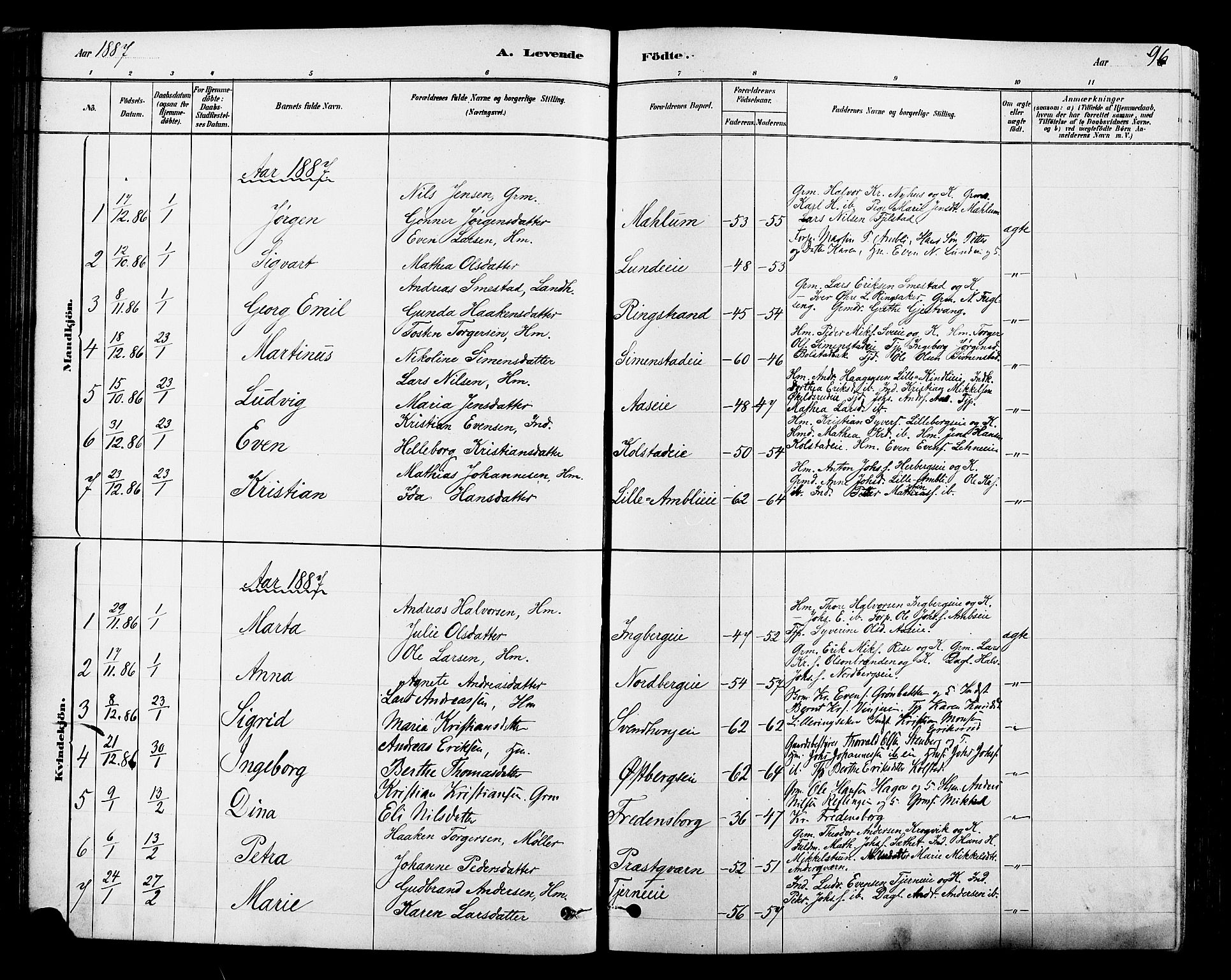 Ringsaker prestekontor, SAH/PREST-014/L/La/L0009: Parish register (copy) no. 9, 1879-1890, p. 96