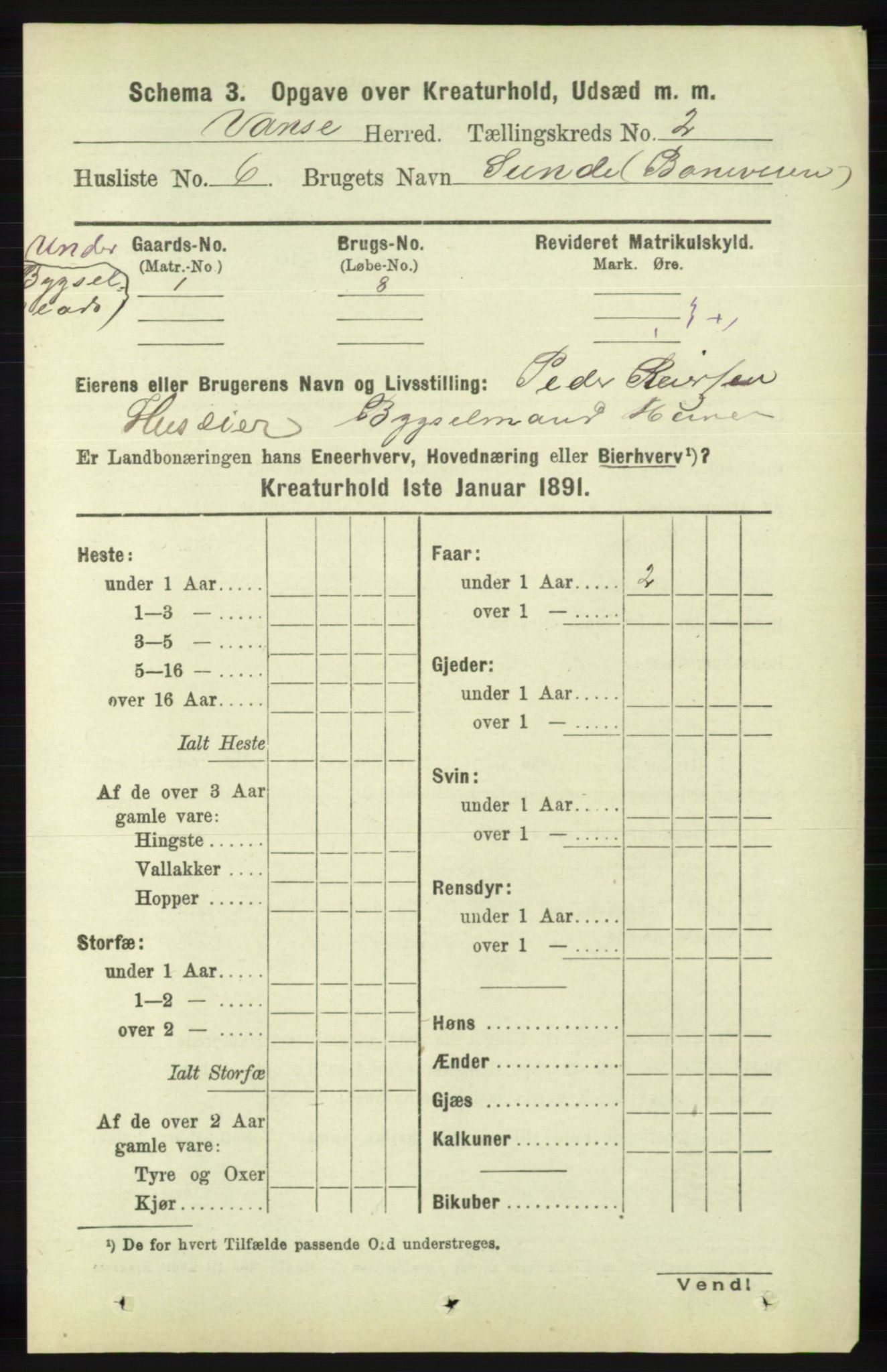 RA, 1891 census for 1041 Vanse, 1891, p. 7972