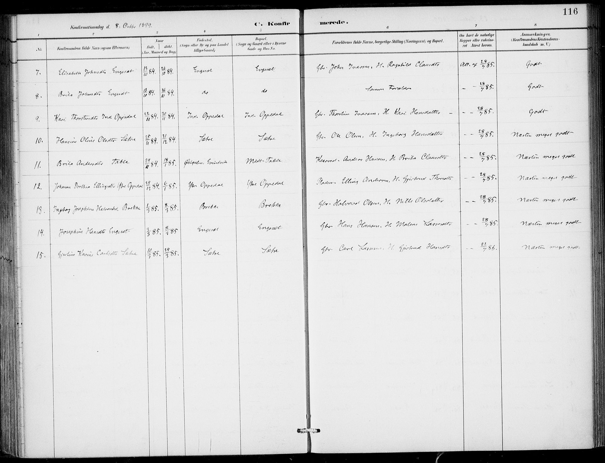 Gulen sokneprestembete, AV/SAB-A-80201/H/Haa/Haac/L0002: Parish register (official) no. C  2, 1882-1914, p. 116