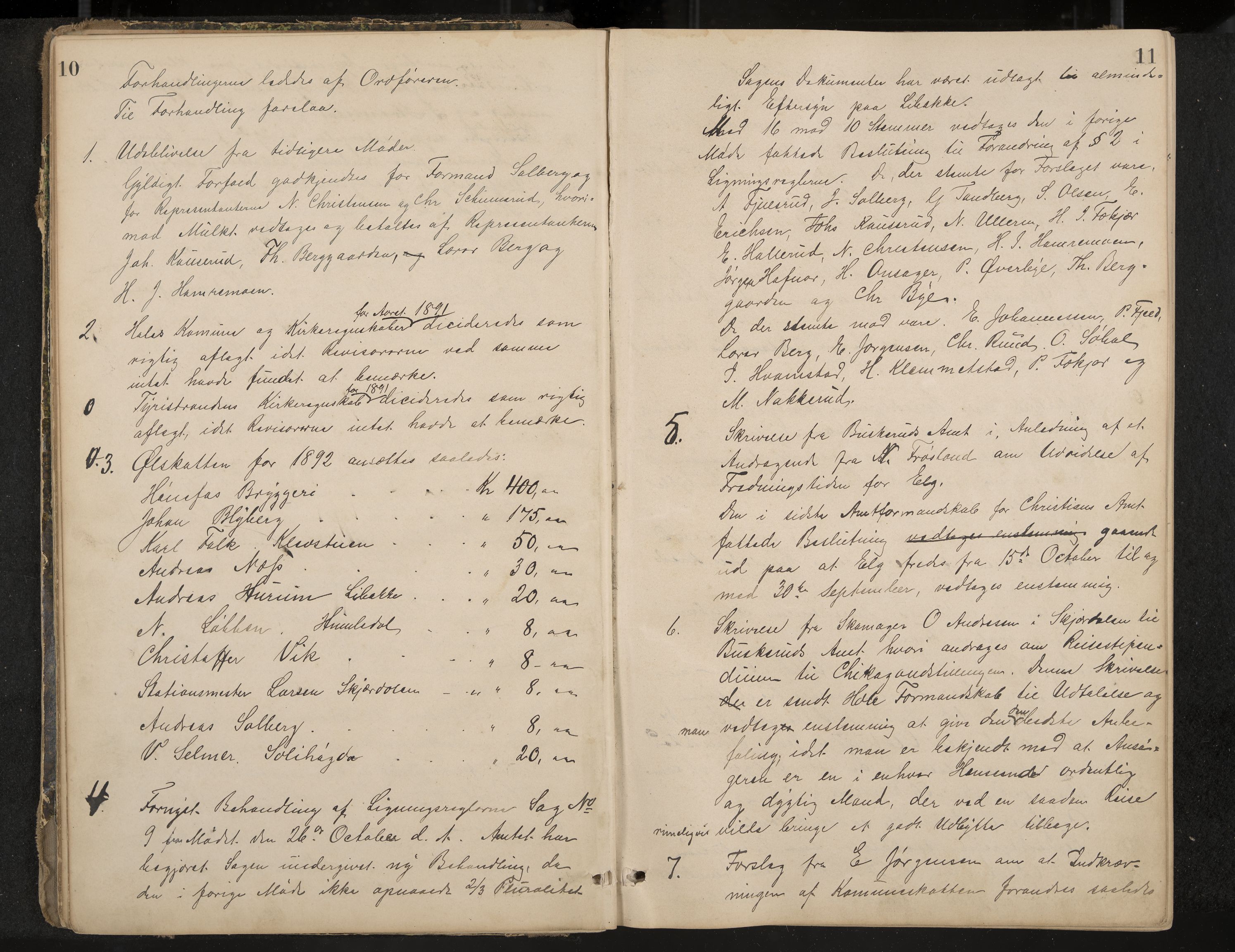 Hole formannskap og sentraladministrasjon, IKAK/0612021-1/A/Aa/L0003: Møtebok med register, 1892-1902, p. 10-11