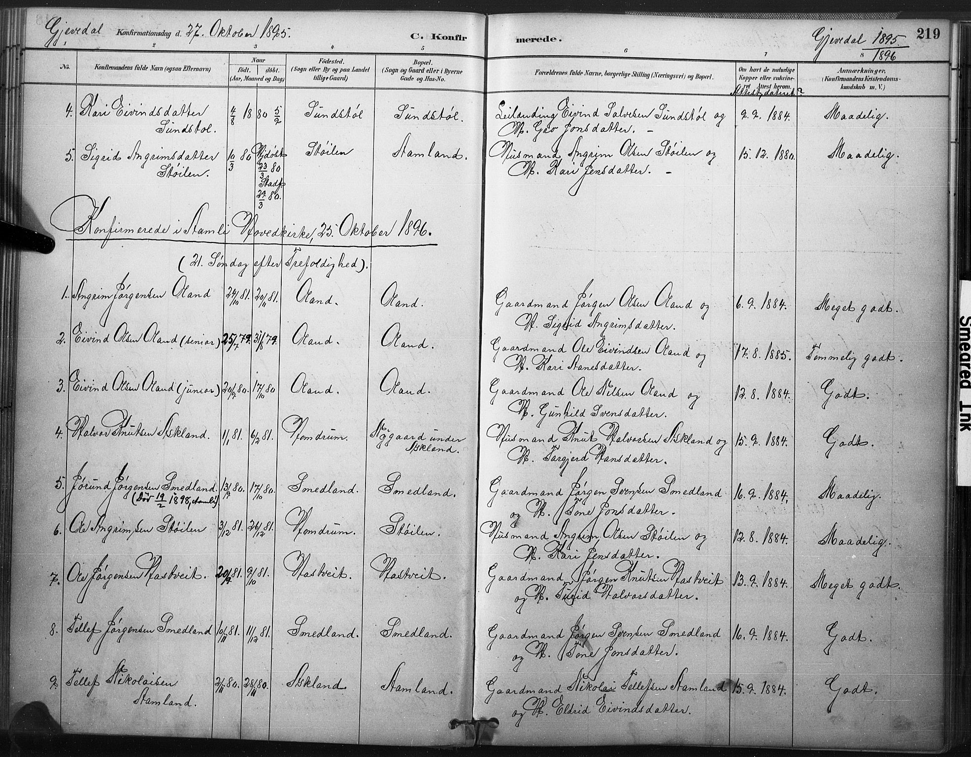 Åmli sokneprestkontor, SAK/1111-0050/F/Fa/Fac/L0010: Parish register (official) no. A 10 /2, 1885-1899, p. 219